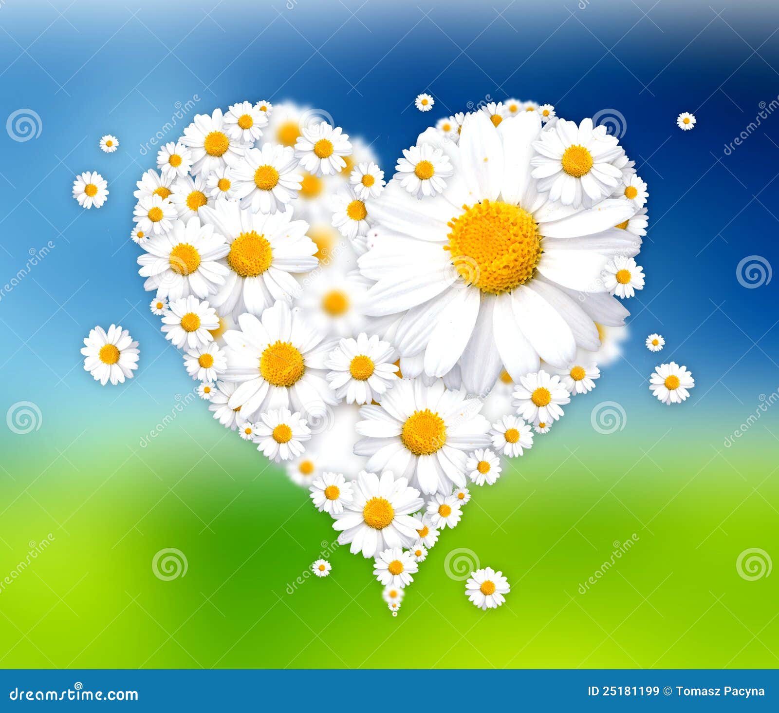Heart Made of Daisies Illustration Stock Illustration Illustration of