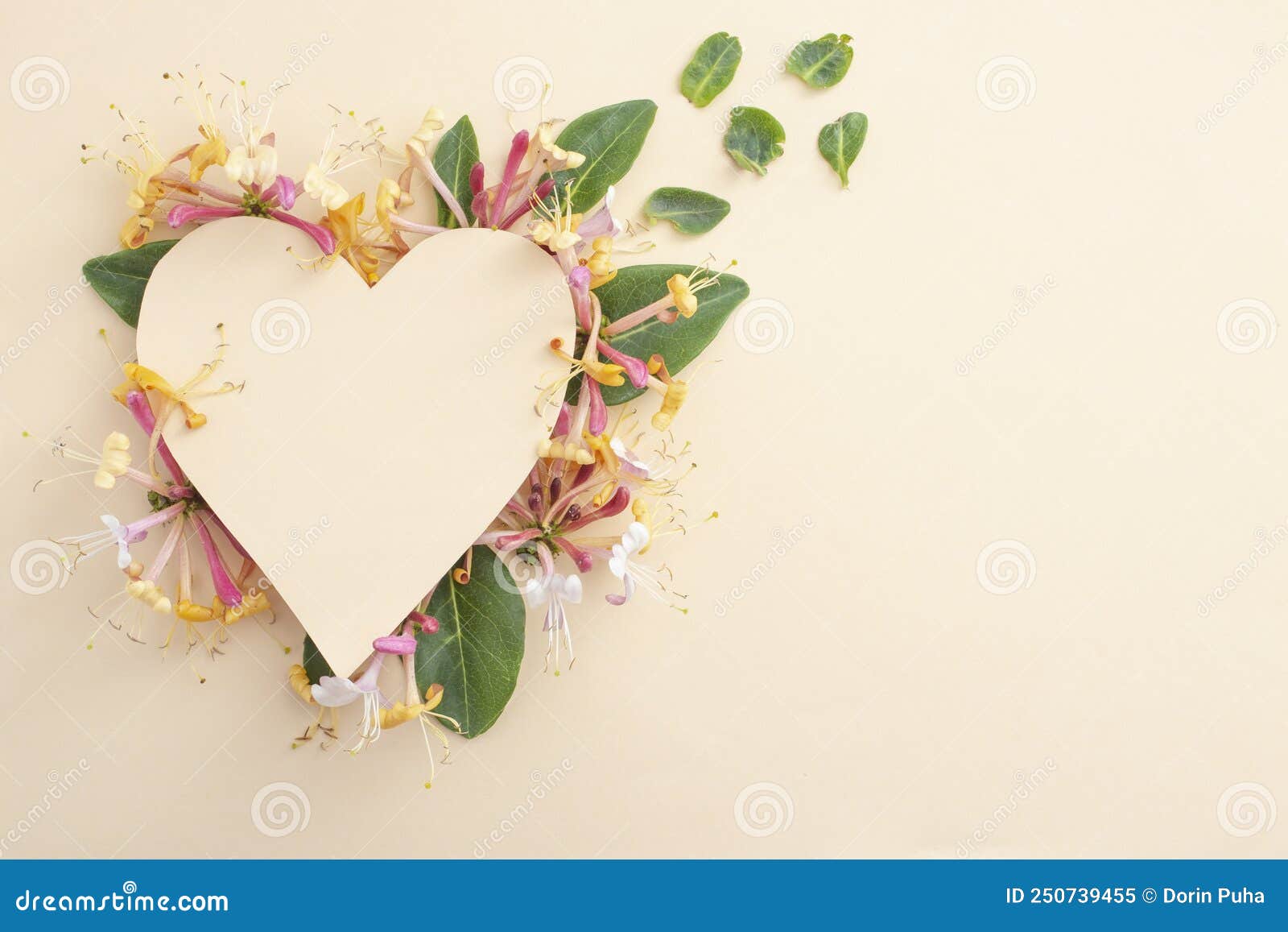 heart made from lonicera periclymenum belgica flowers