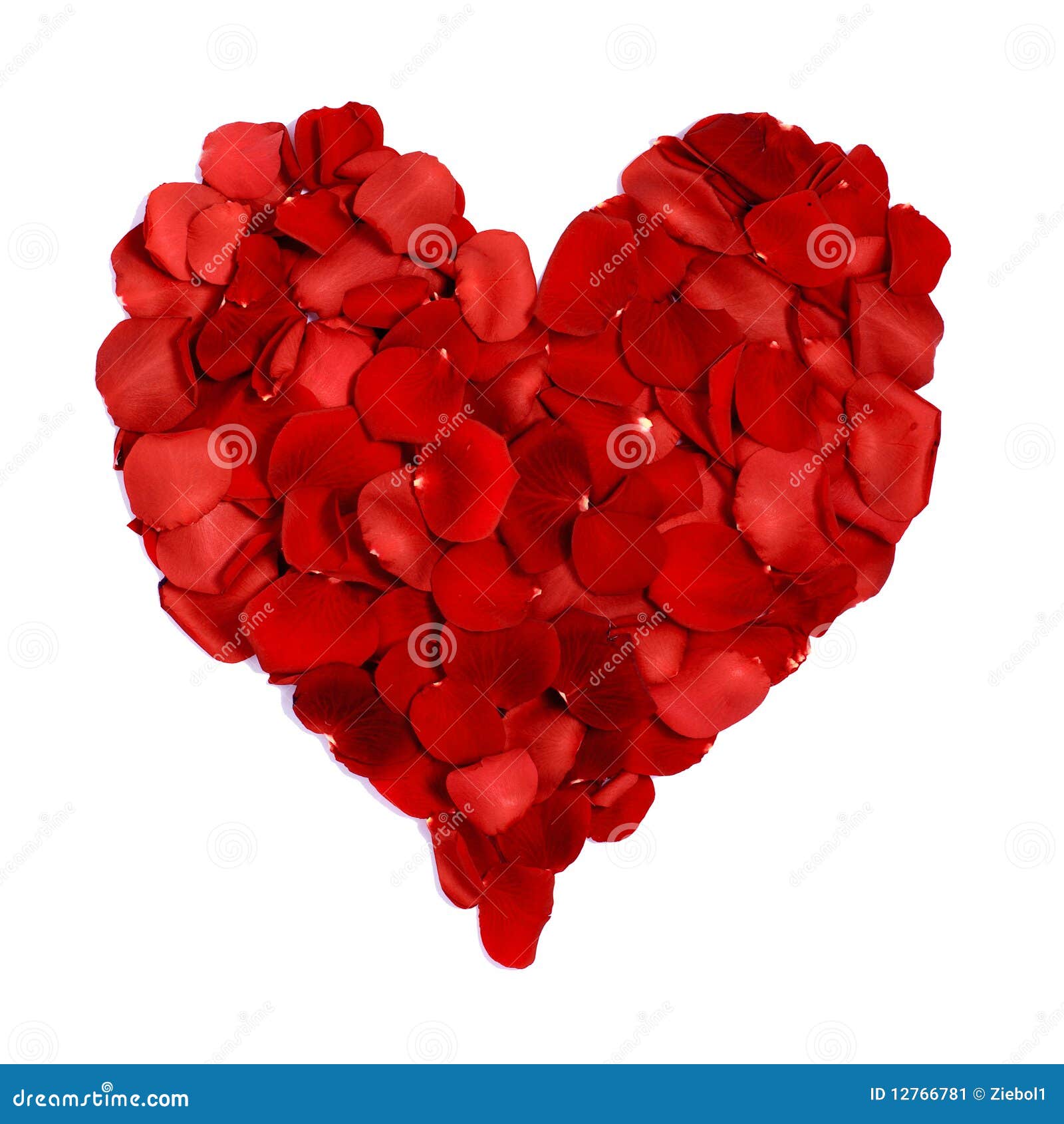 My Image 12