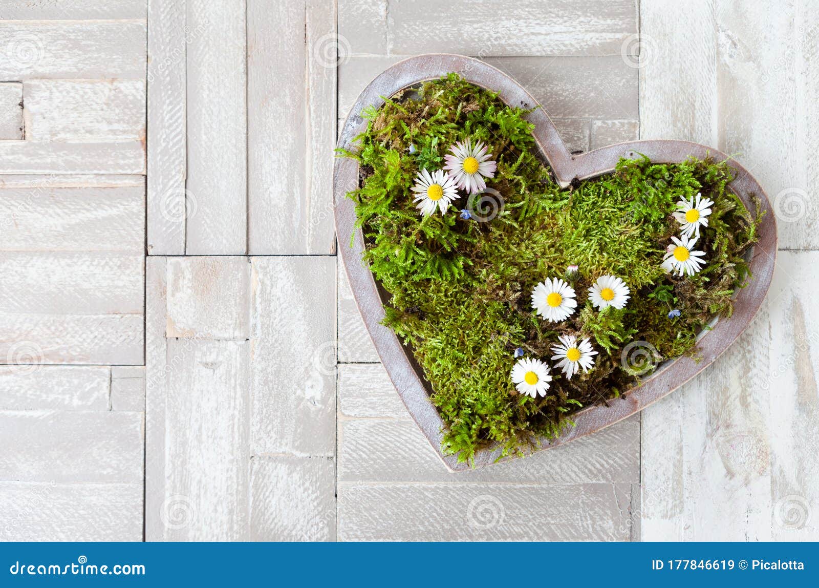 Heart with Moss and Flowers Stock Image Image of blooming, nature