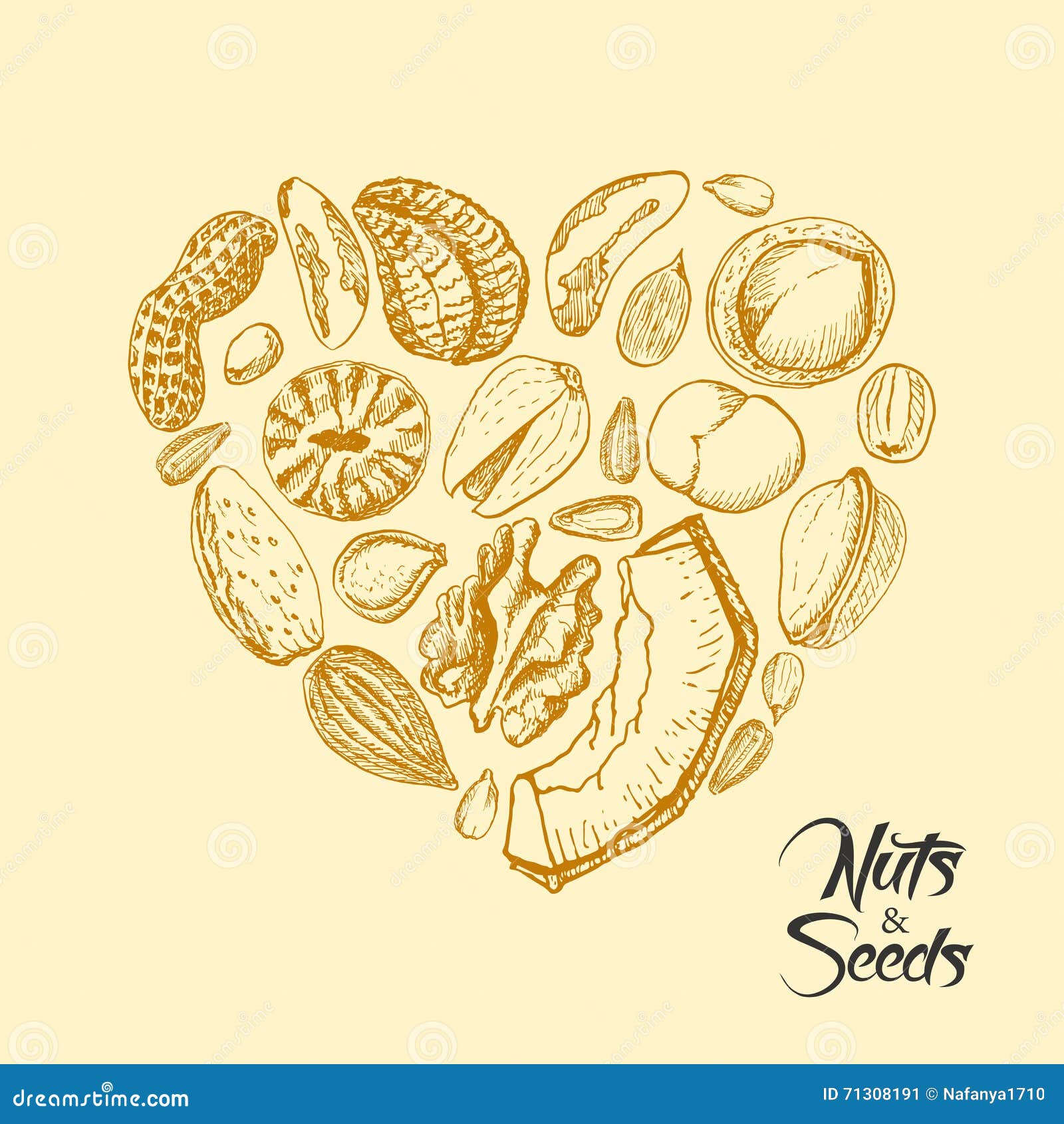 The Heart of Nuts and Seeds Stock Vector Illustration of drawn, seed 71308191