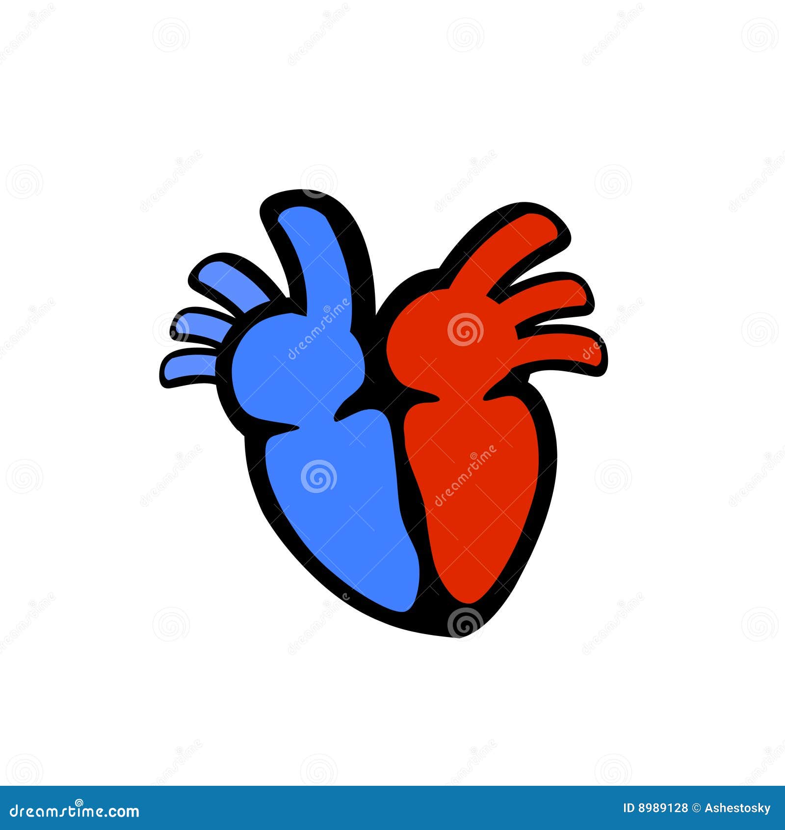 clipart organ - photo #16