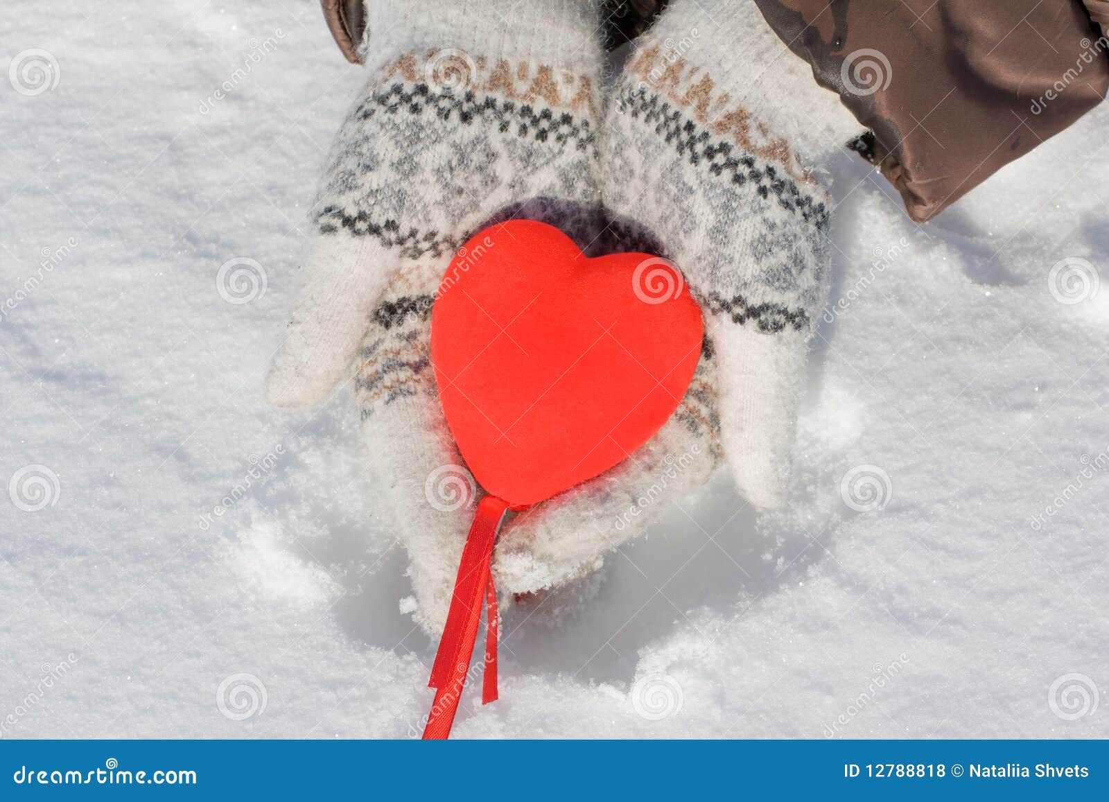 palm hearts palm hearts