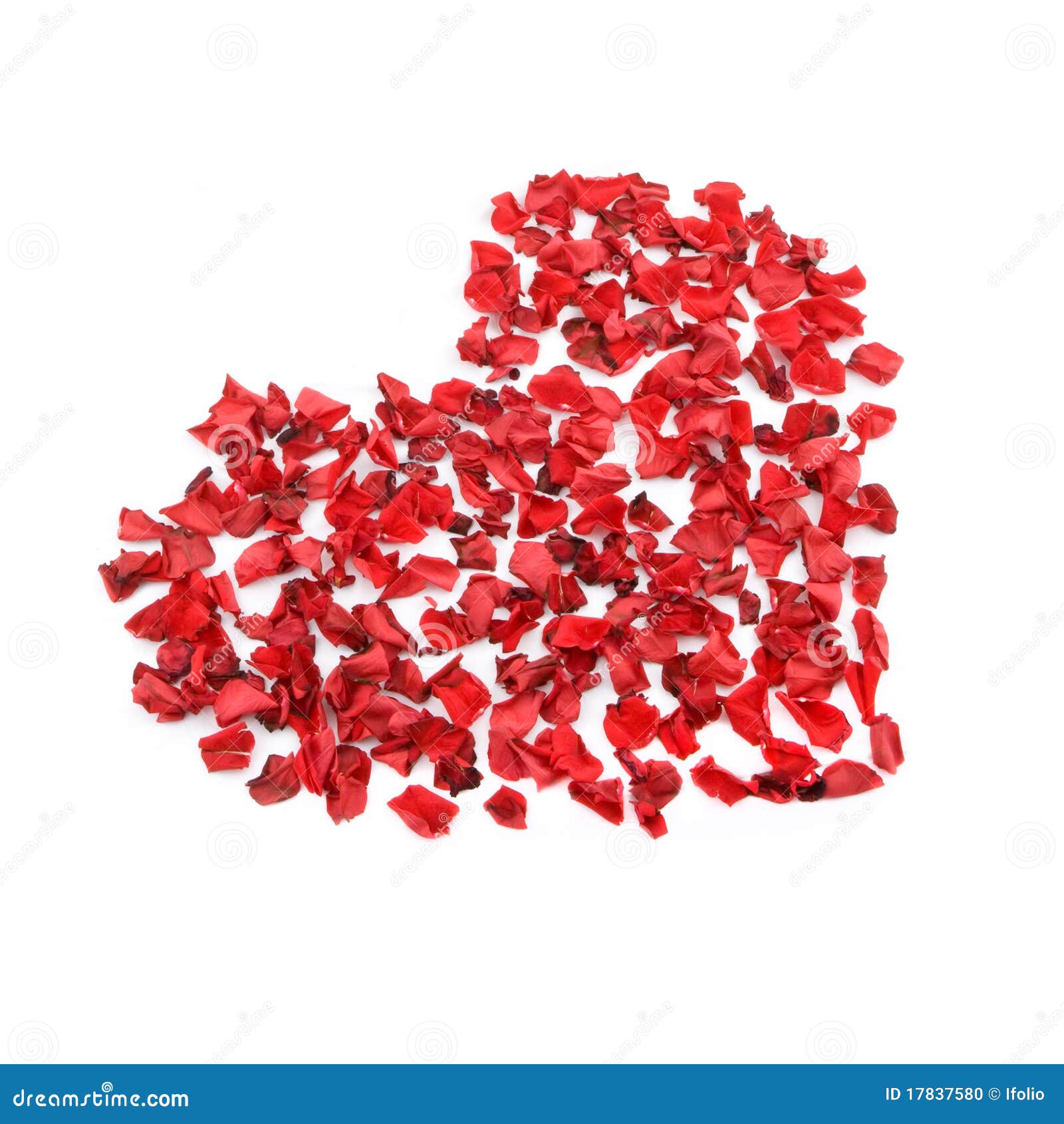 My Image 15