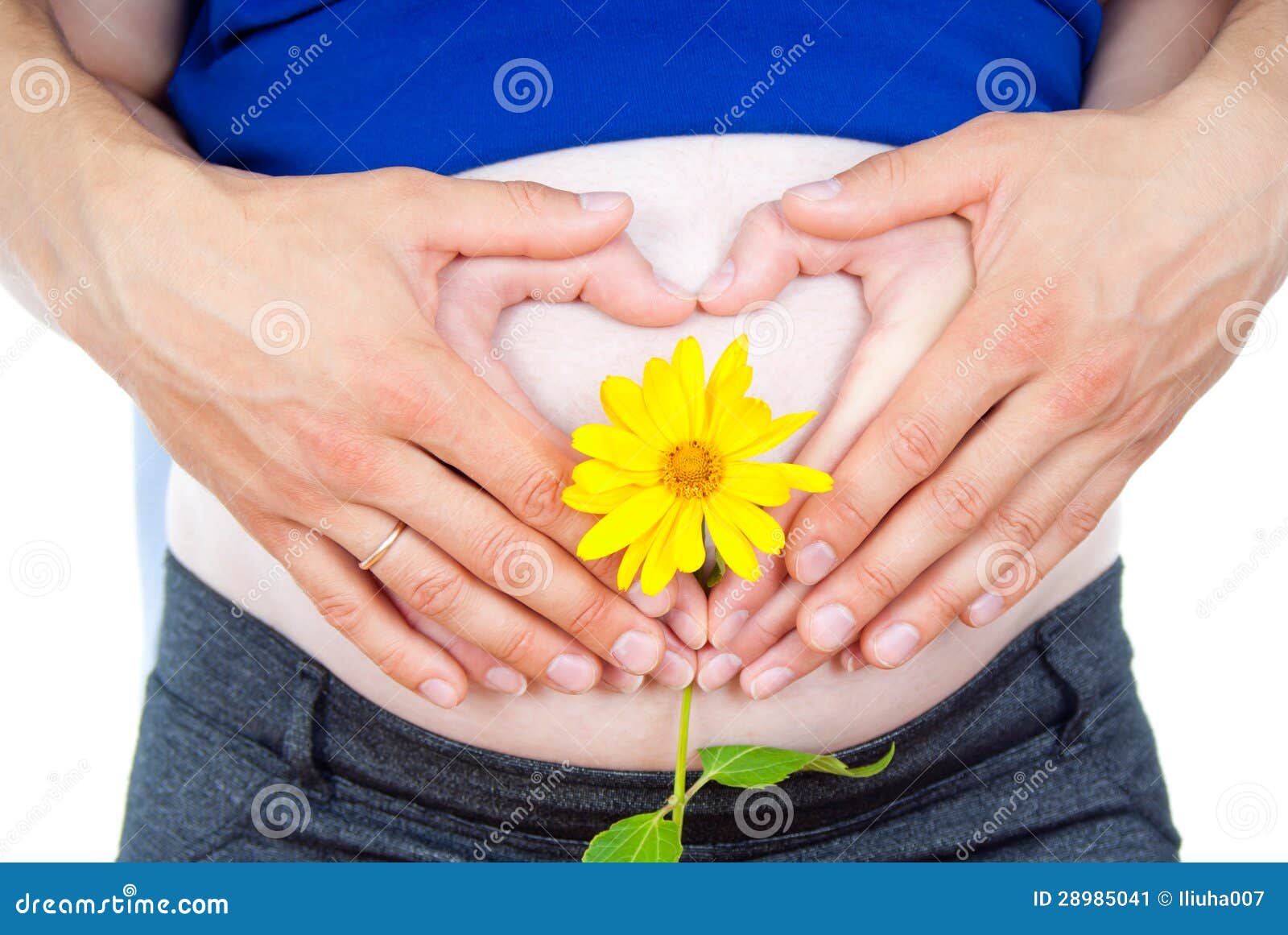 Heart on a Pregnant Belly Out of the Hands Stock Image Image of