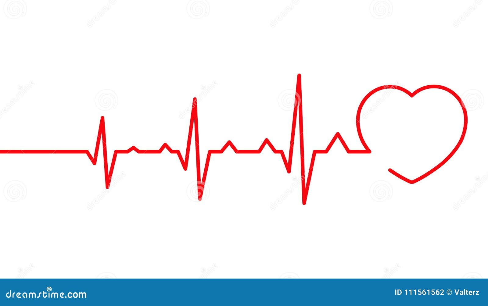 heart pulse, cardiogram line  , heartbeat