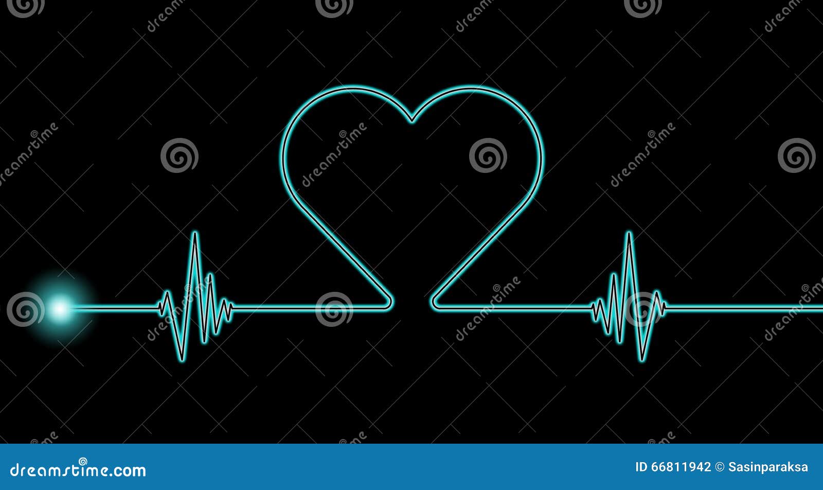 heart rate rhythm