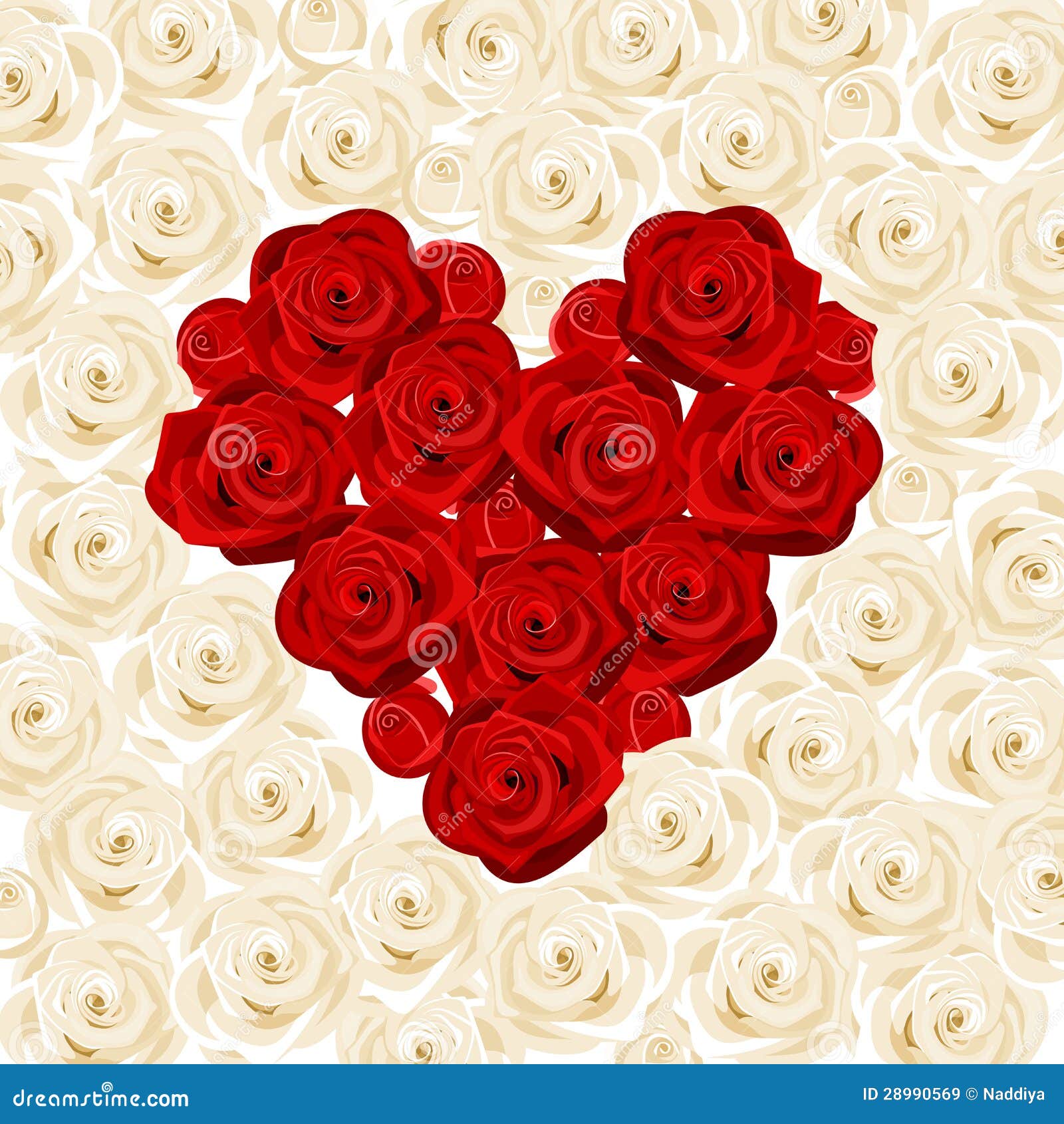 Heart of Red Roses on White Roses. Stock Vector Illustration of rose