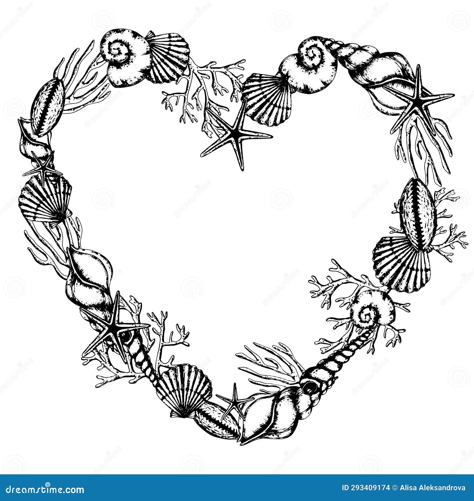 heart  seashell frame. hand drawn   of sea shells on white  background. linear underwater