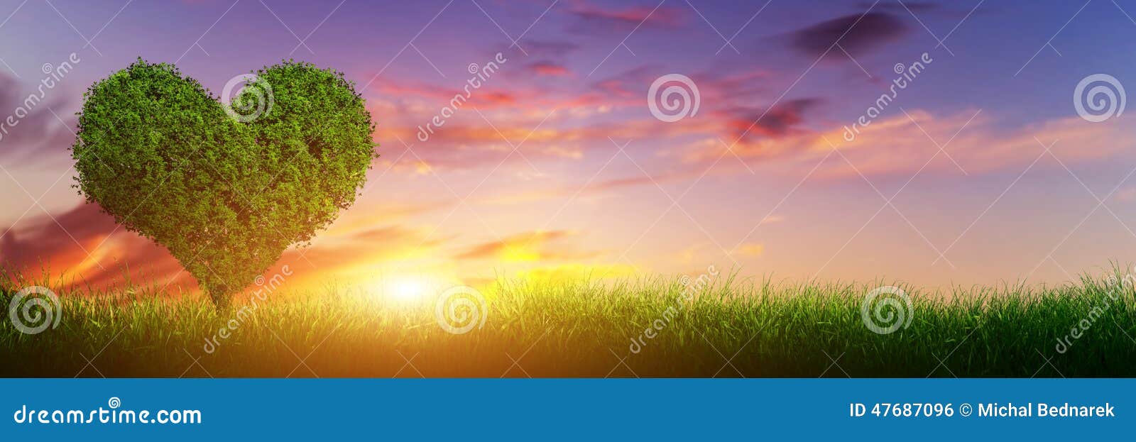heart  tree on grass at sunset. love, panorama