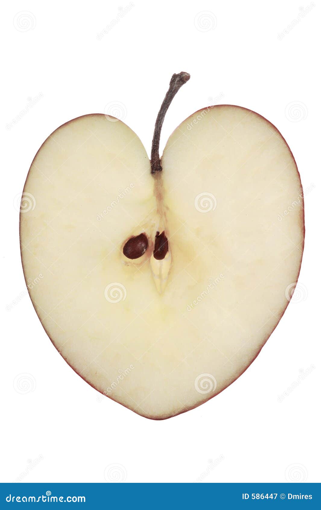 Heart Shaped Apple stock image. Image of isolated, safe 586447