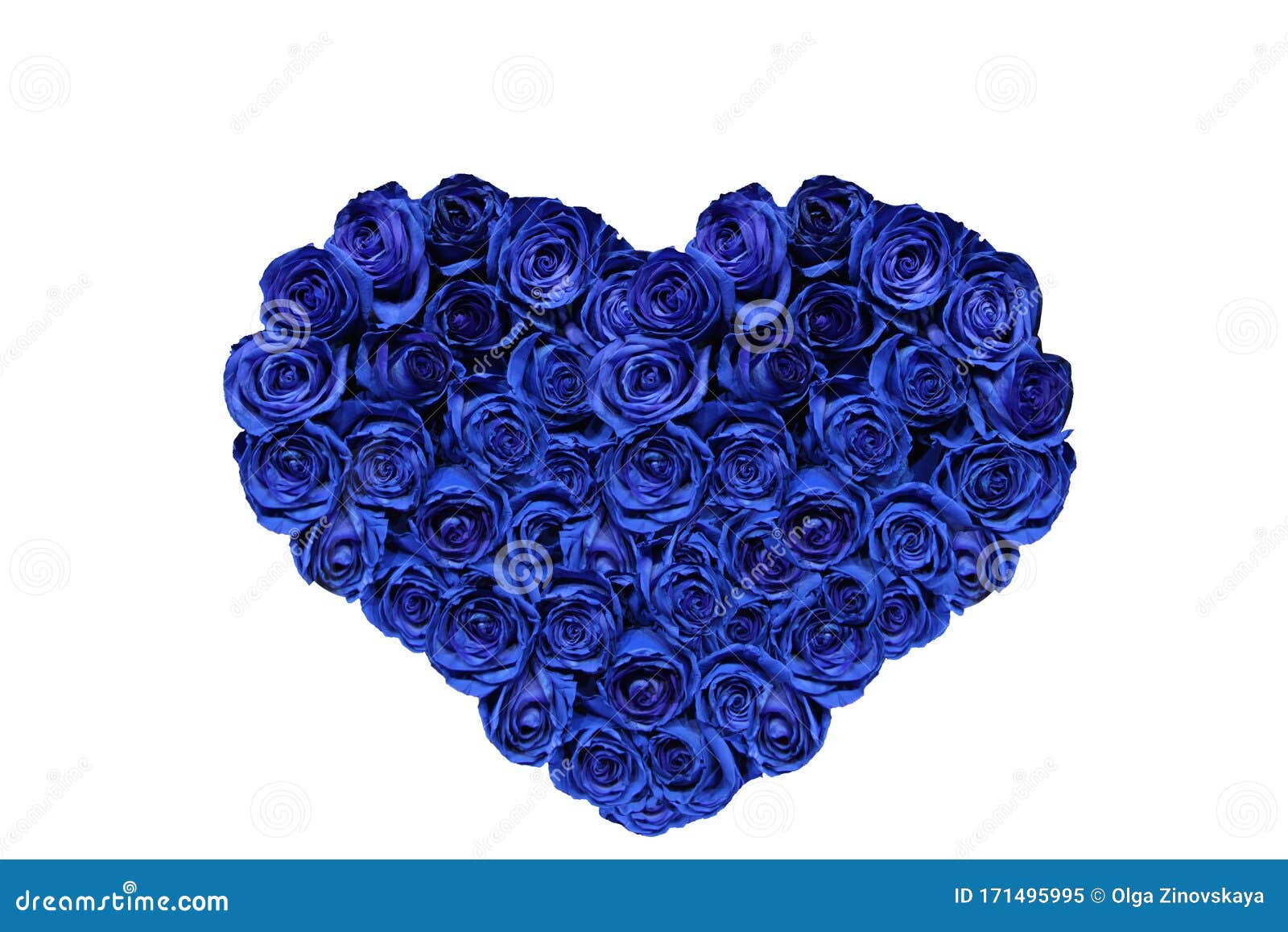 Pictures Of Blue Roses And Hearts