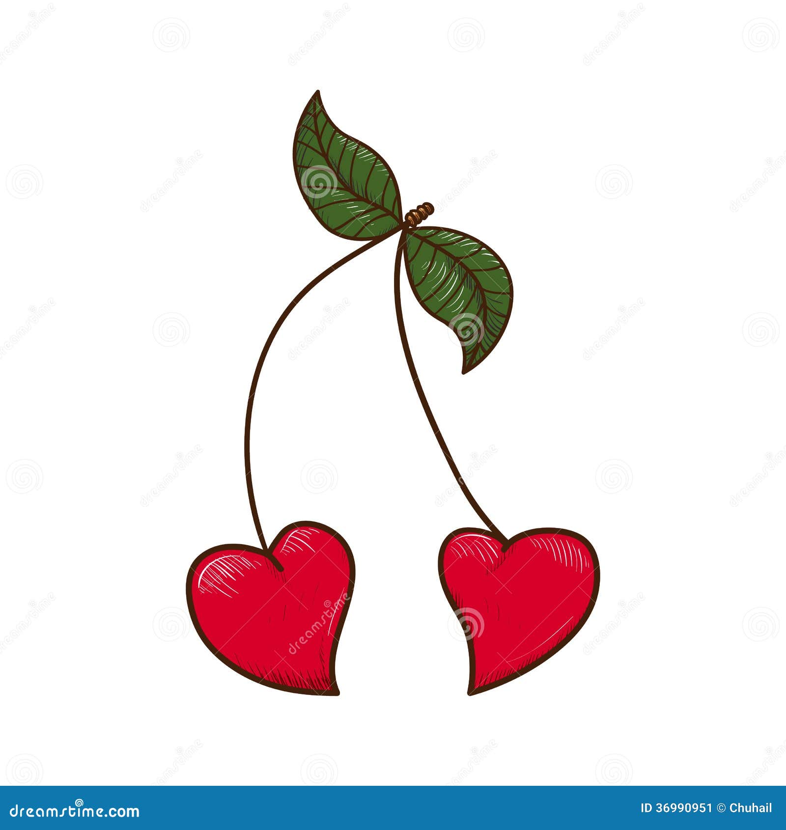 Heart shaped cherries. stock vector. Illustration of isolated 36990951