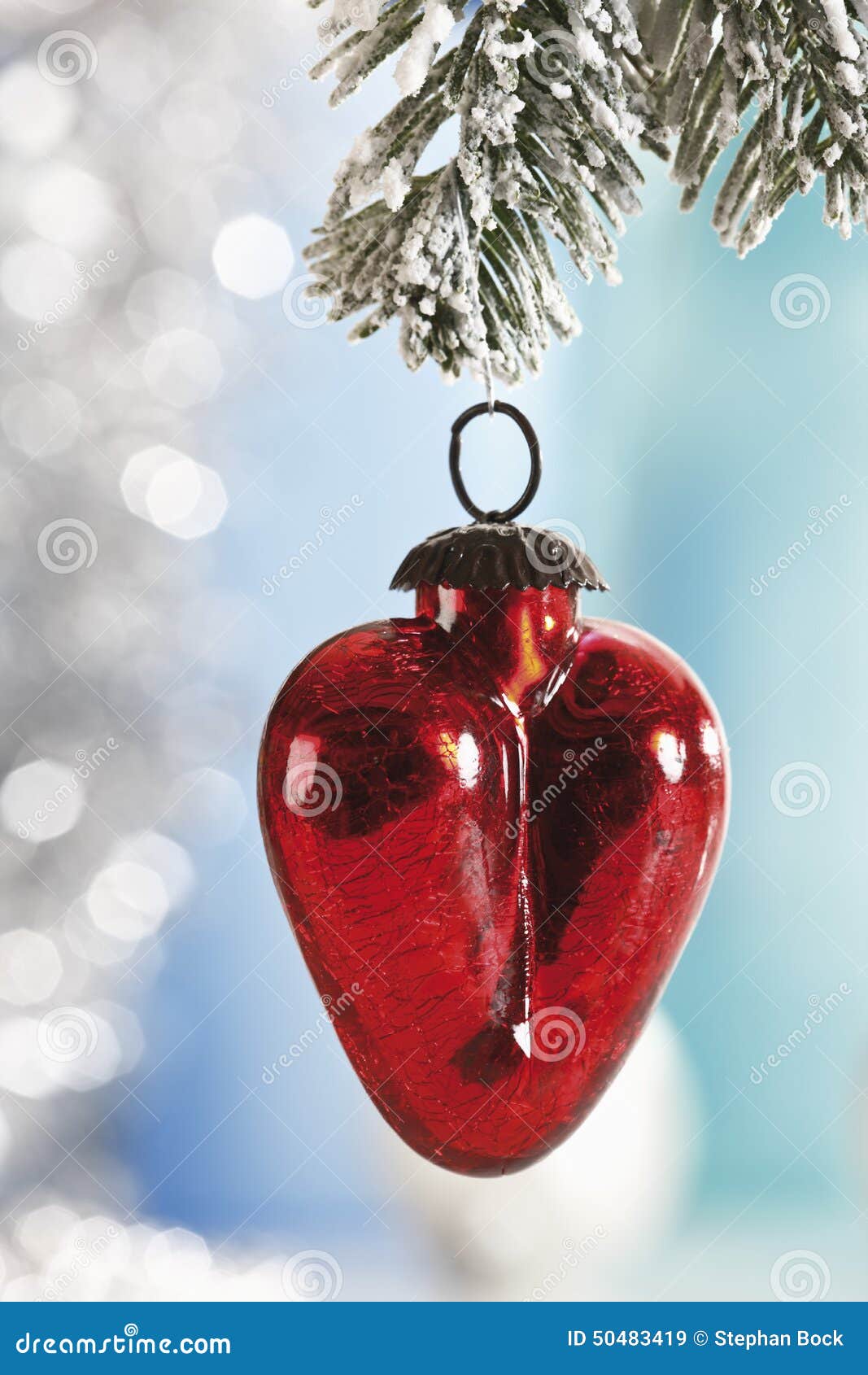 Heartshaped Christmas Tree Decoration Hanging from Pine Twig Stock Image Image of christmas