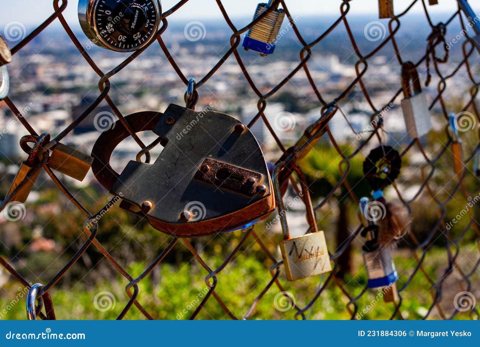 Chain-Link Fences, Los Angeles