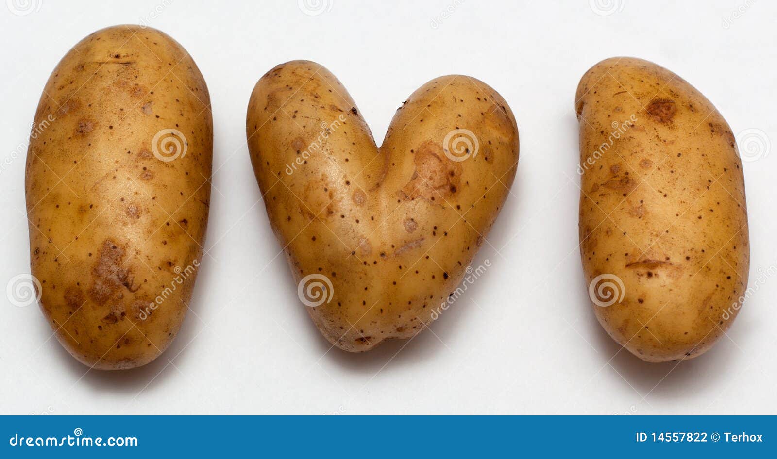 Heart shaped potatoe stock photo. Image of like, food - 14557822