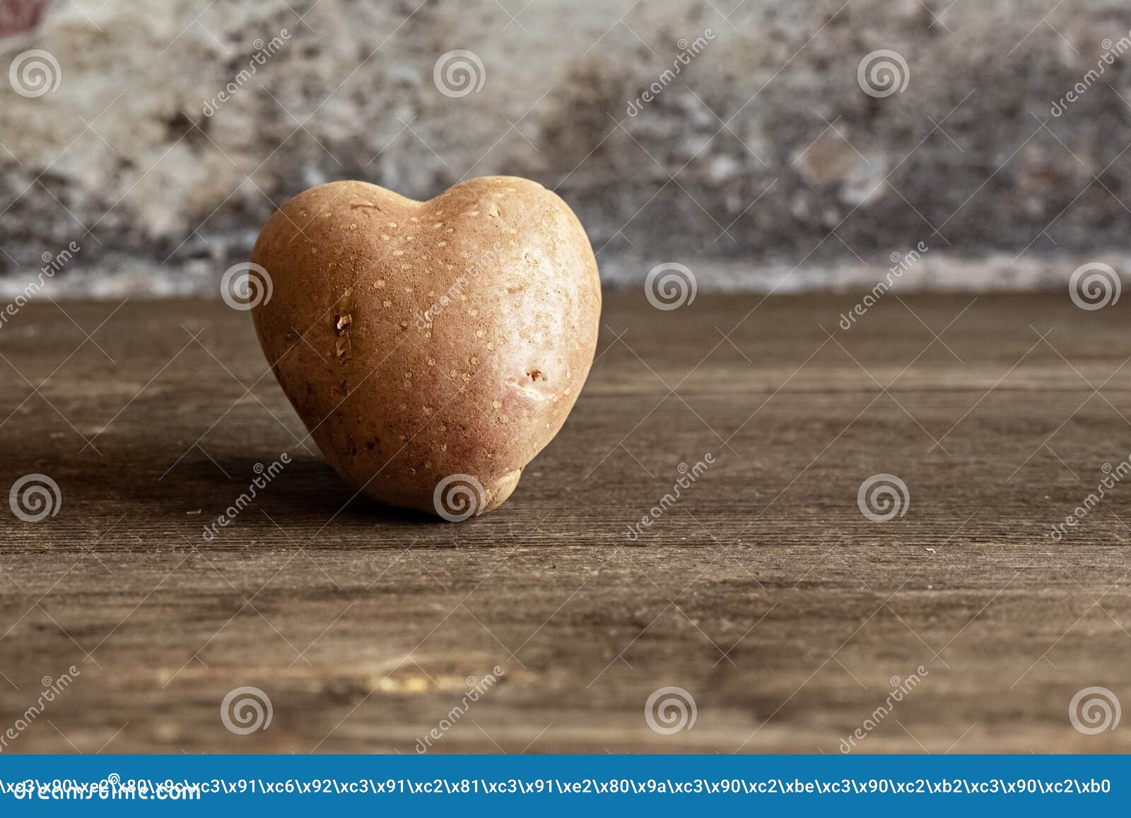 heart d red potato on vintage background.the concept of farming  harvesting  vegetarianism. valentine`s day. square  ugly