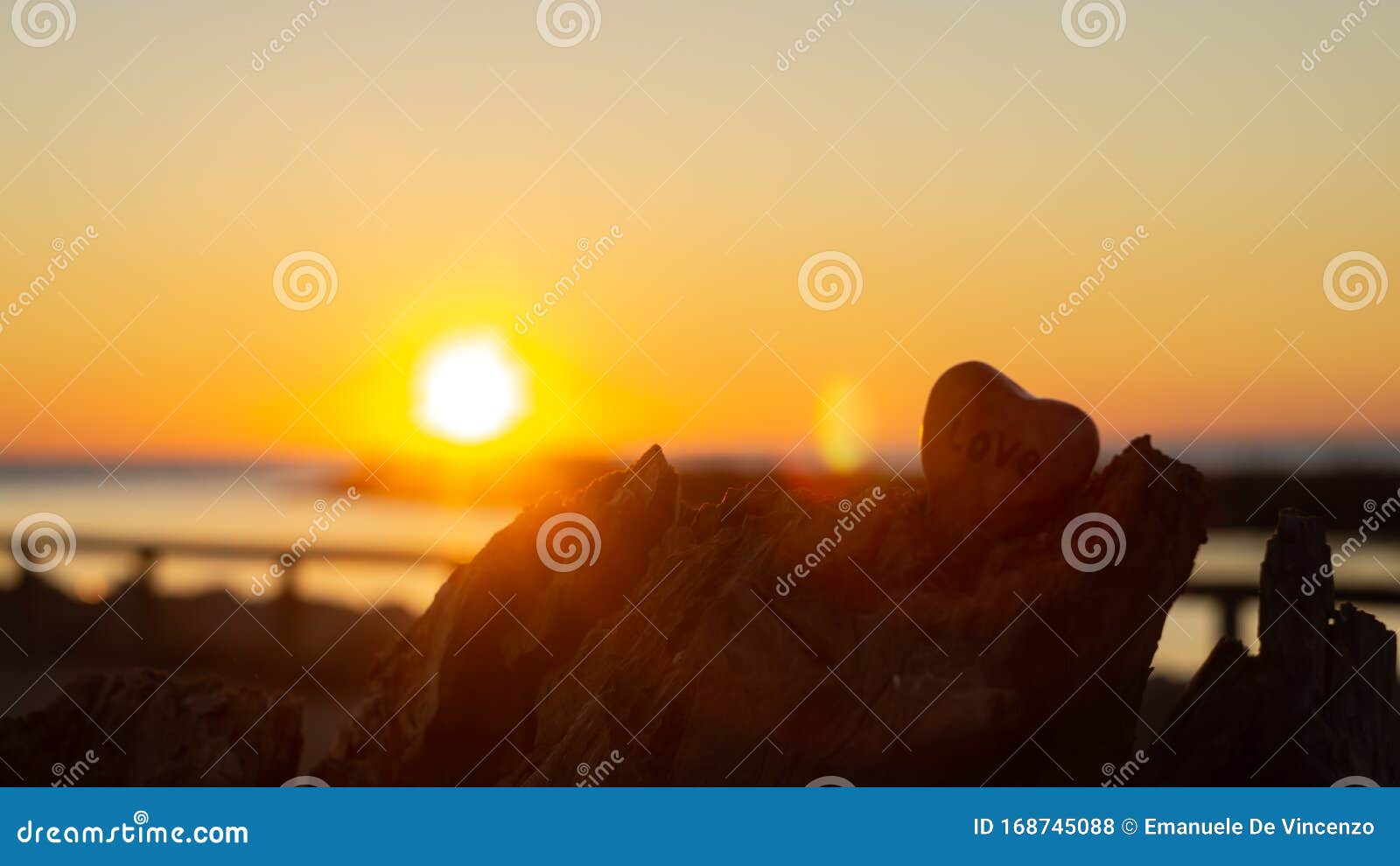 heart d stone liyng treetrunk with sunset and as background