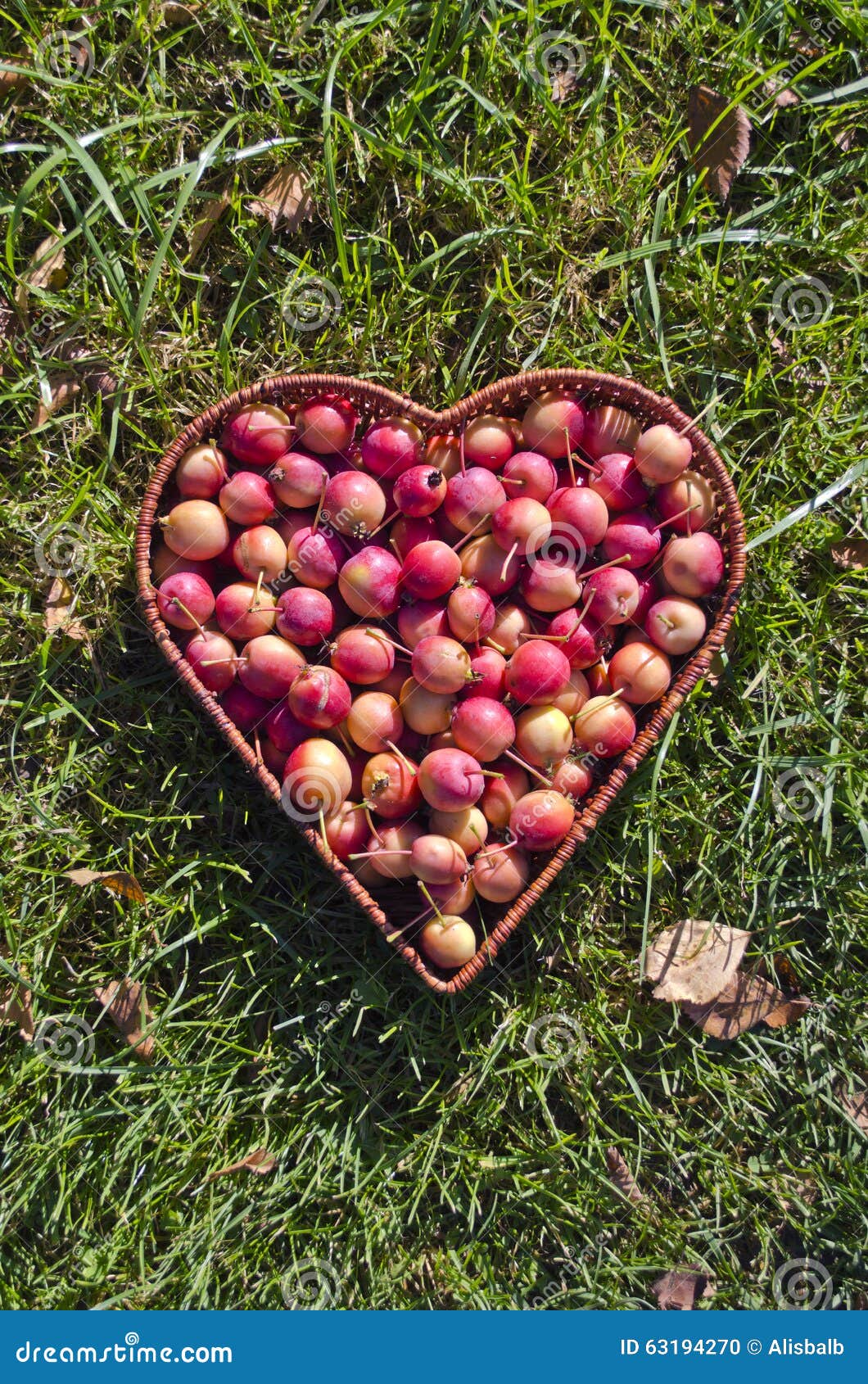 Heart Shaped Wicker Basket of Crab Apples on Green Grass Stock Photo -  Image of design, fruit: 63194270