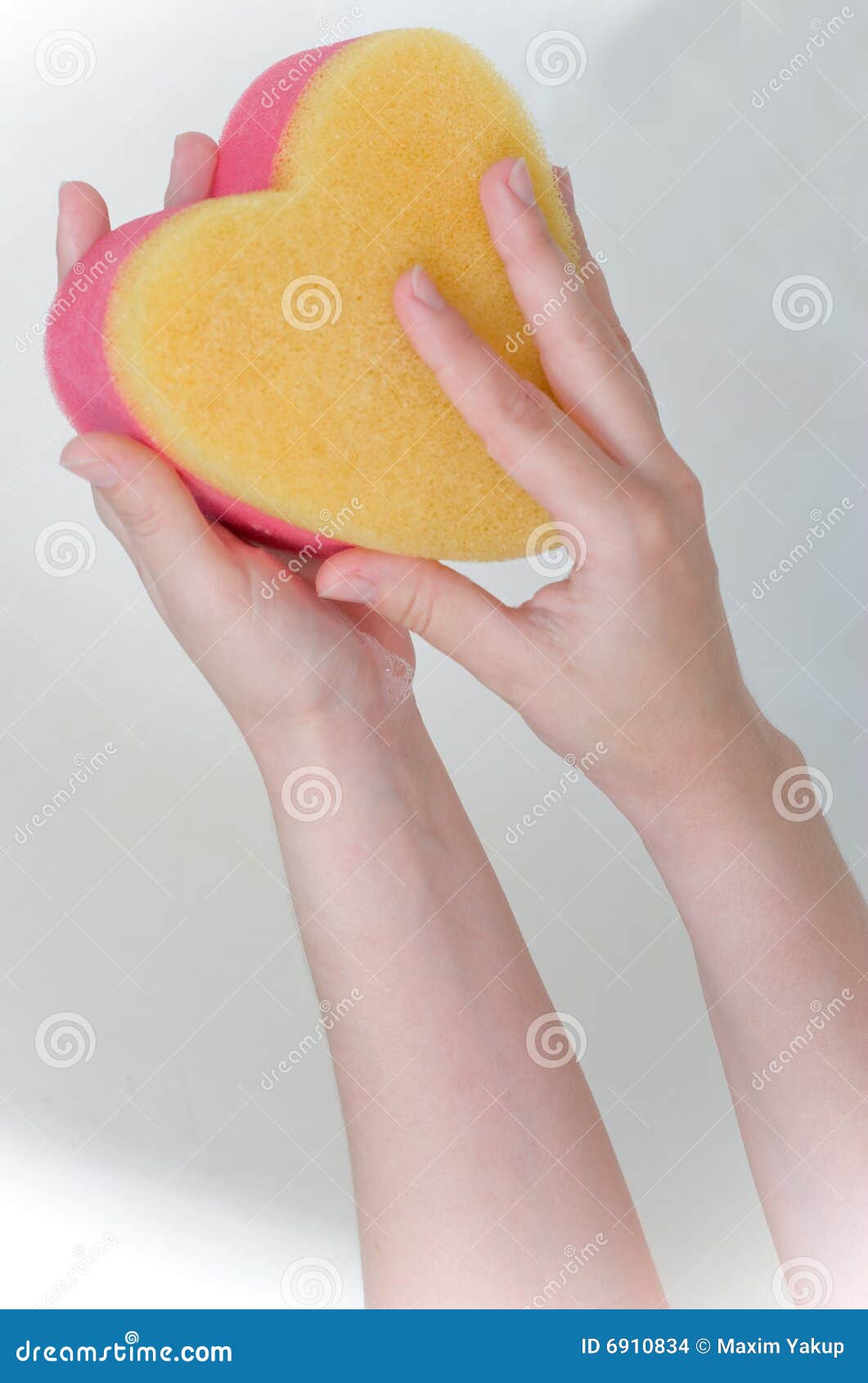 Heart sponge stock photo. Image of cleaning, caretaker 6910834