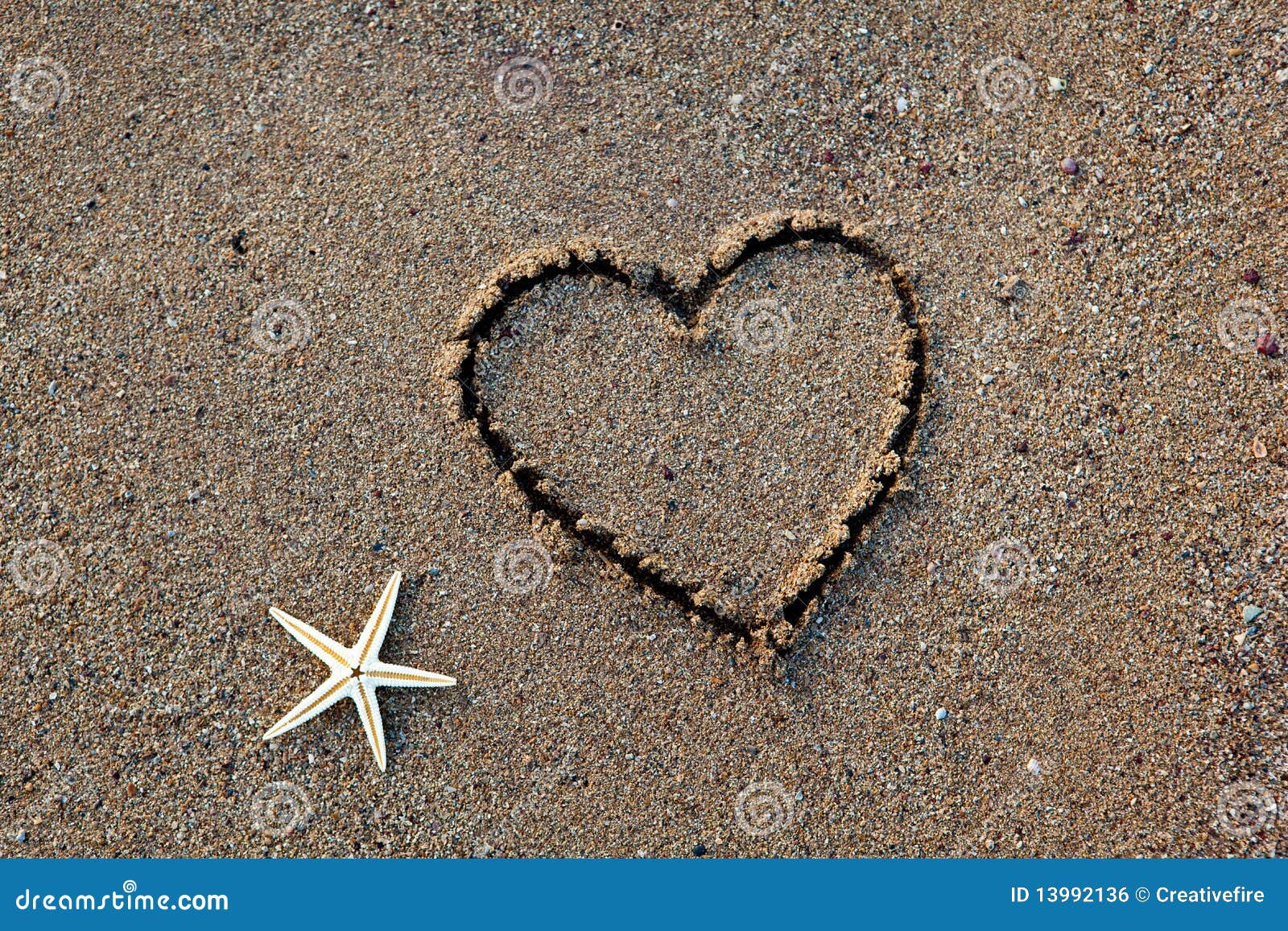 Heart and Starfish on Beach Stock Photo - Image of love, crustacean ...