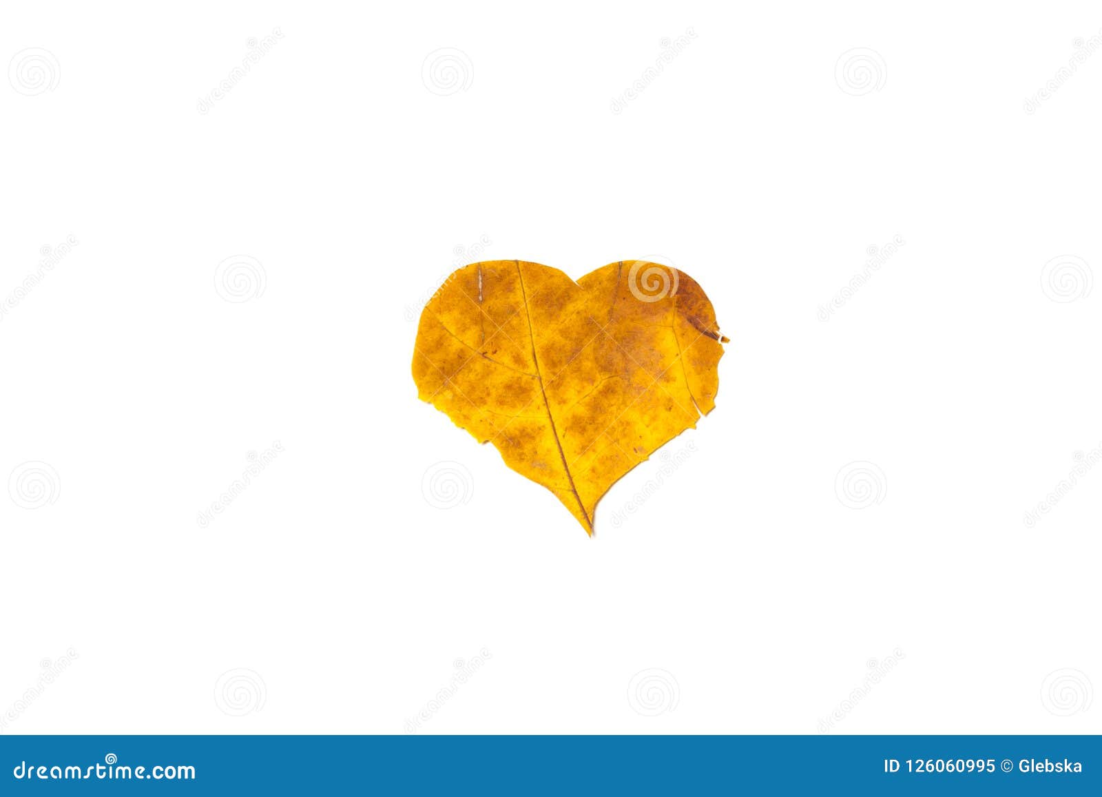 Heart Symbol is Carved from Yellow Maple Leaf Stock Image - Image of ...