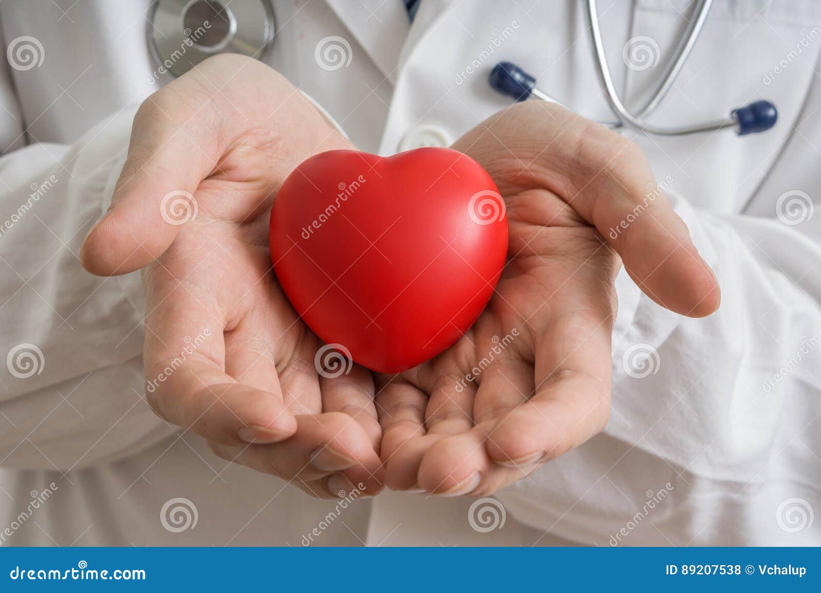 heart transplantation concept. doctor holds red heart model in hands