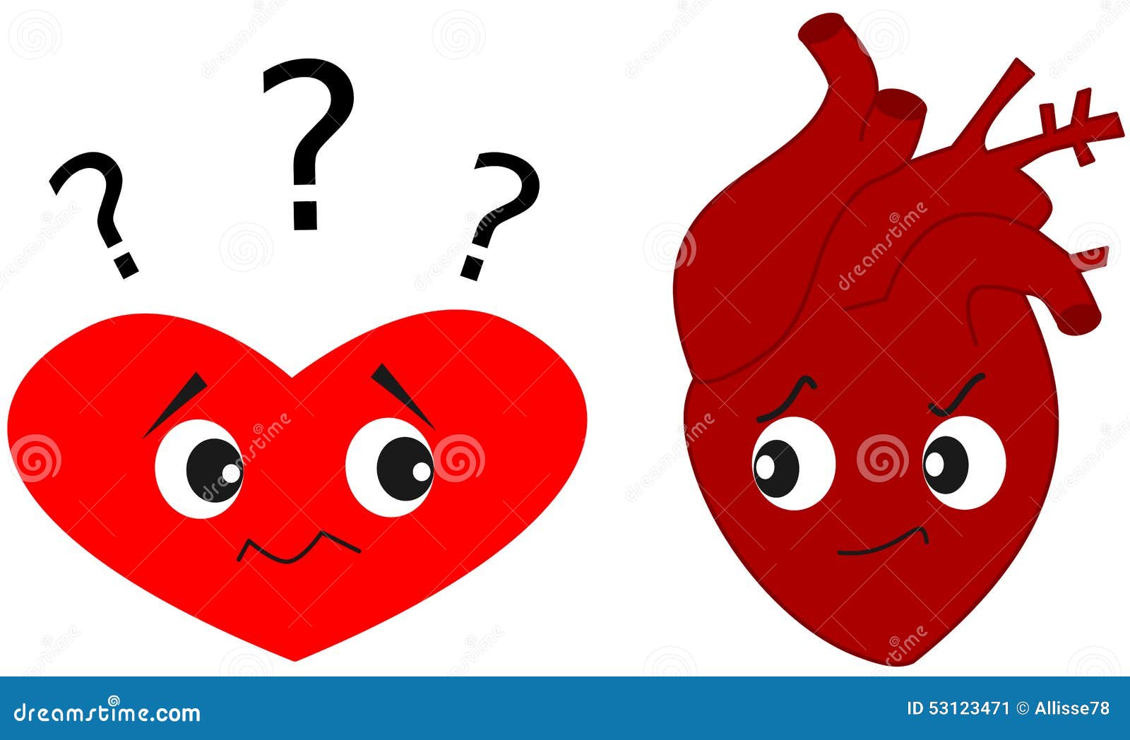 Heart Versus Real Human Heart Cartoon Illustration Stock Illustration -  Illustration of drawing, heartbeat: 53123471