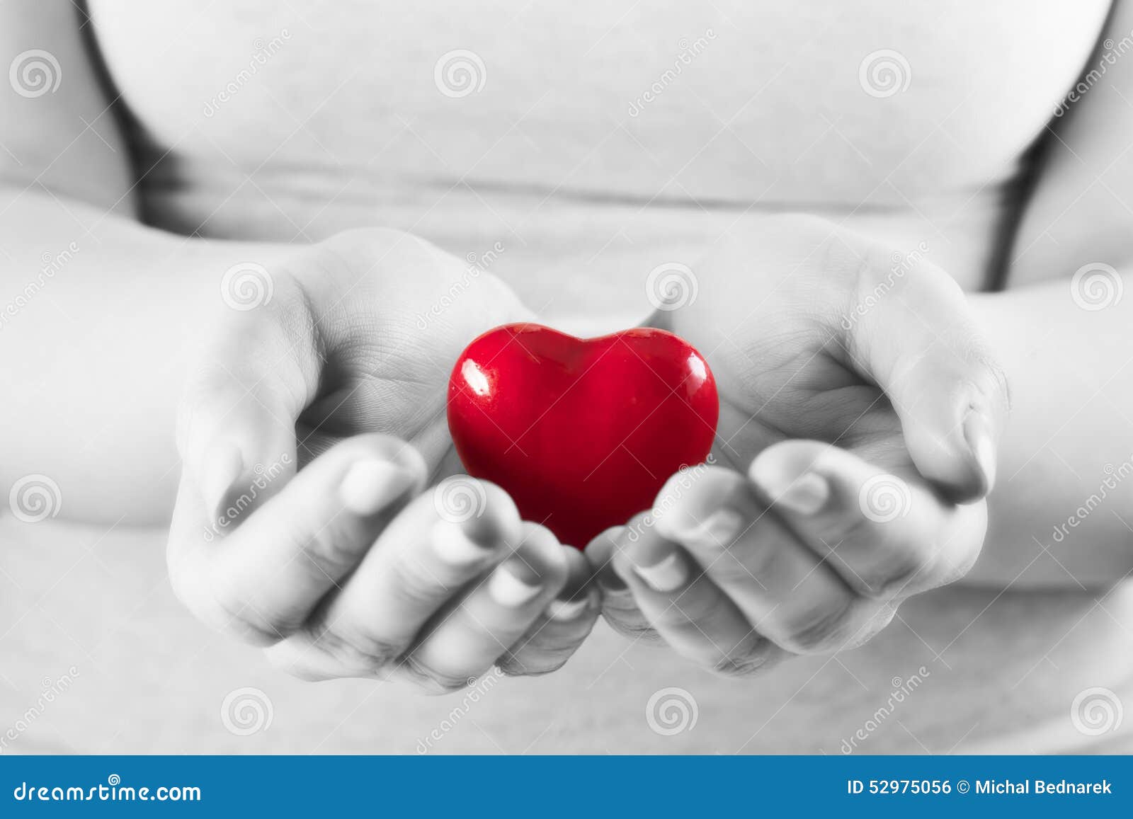 heart in woman hands. love giving, care, health, protection.