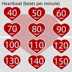 Heartbeat Infographic Stock Photography CartoonDealer 44319854