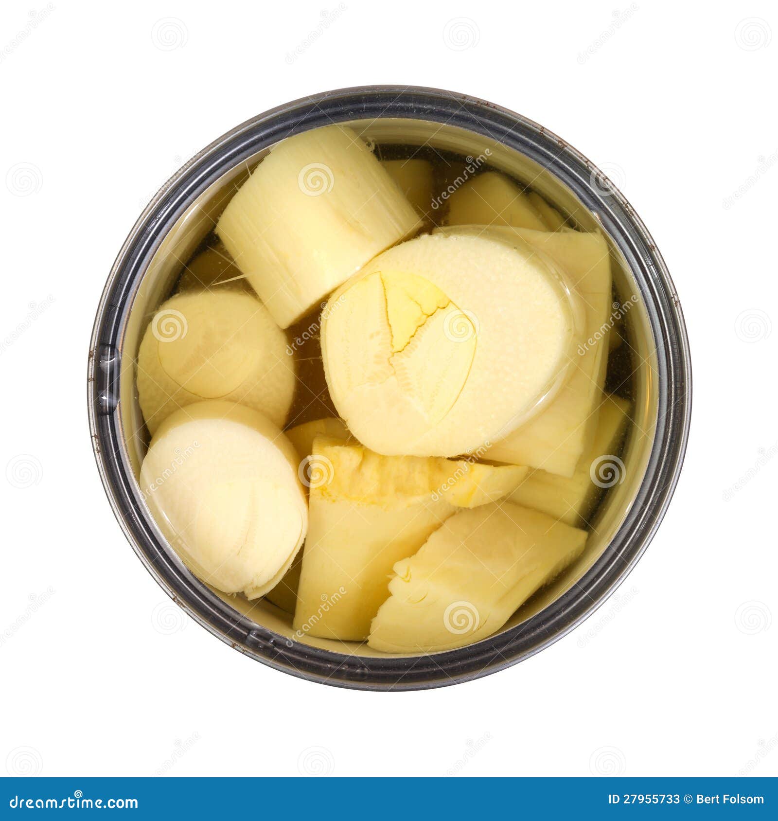 Hearts of palm in can stock image. Image of tasty, cooked 27955733