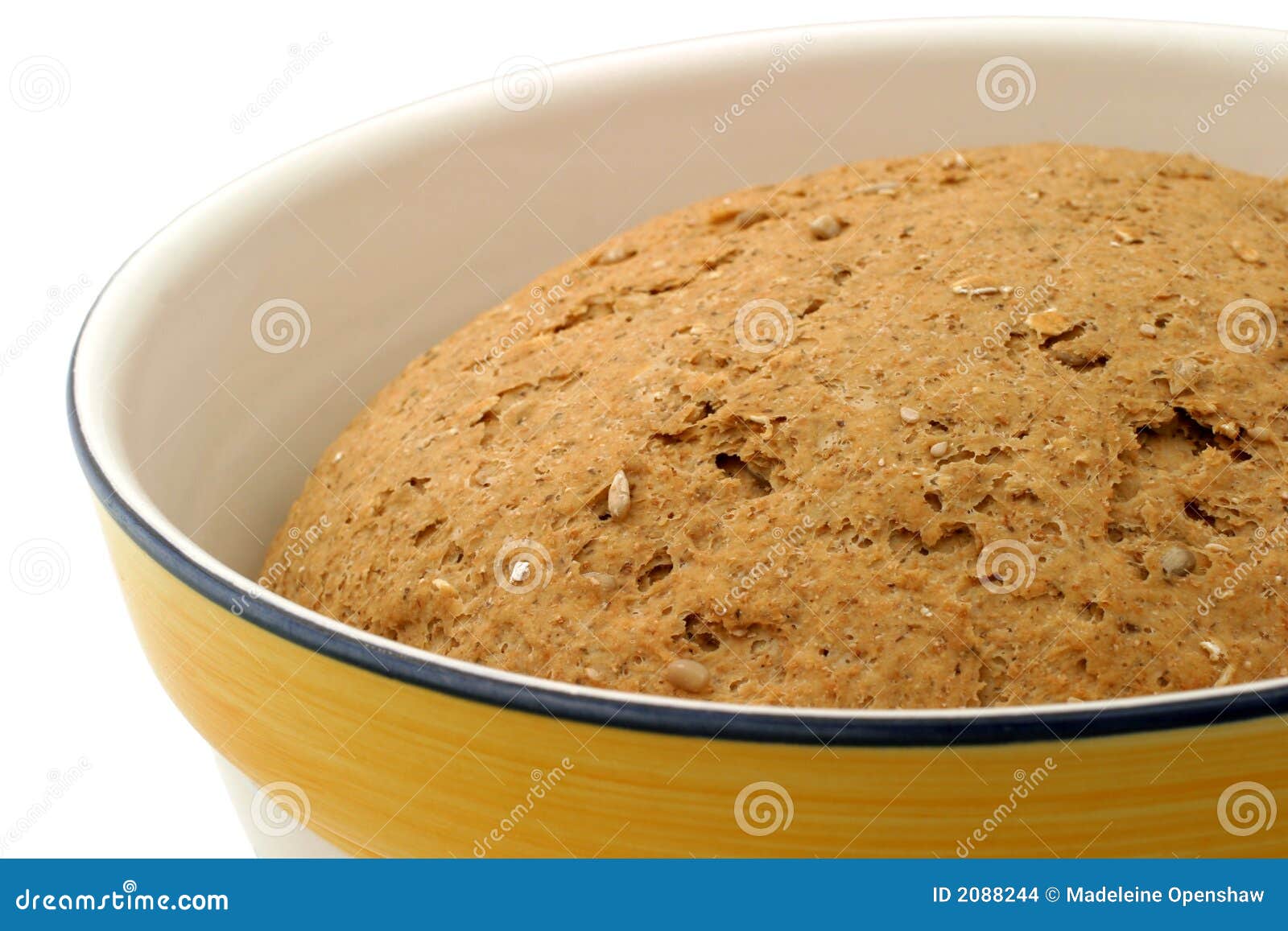 Hearty Bread Dough Closeup Stock Photo Image of culinary, food