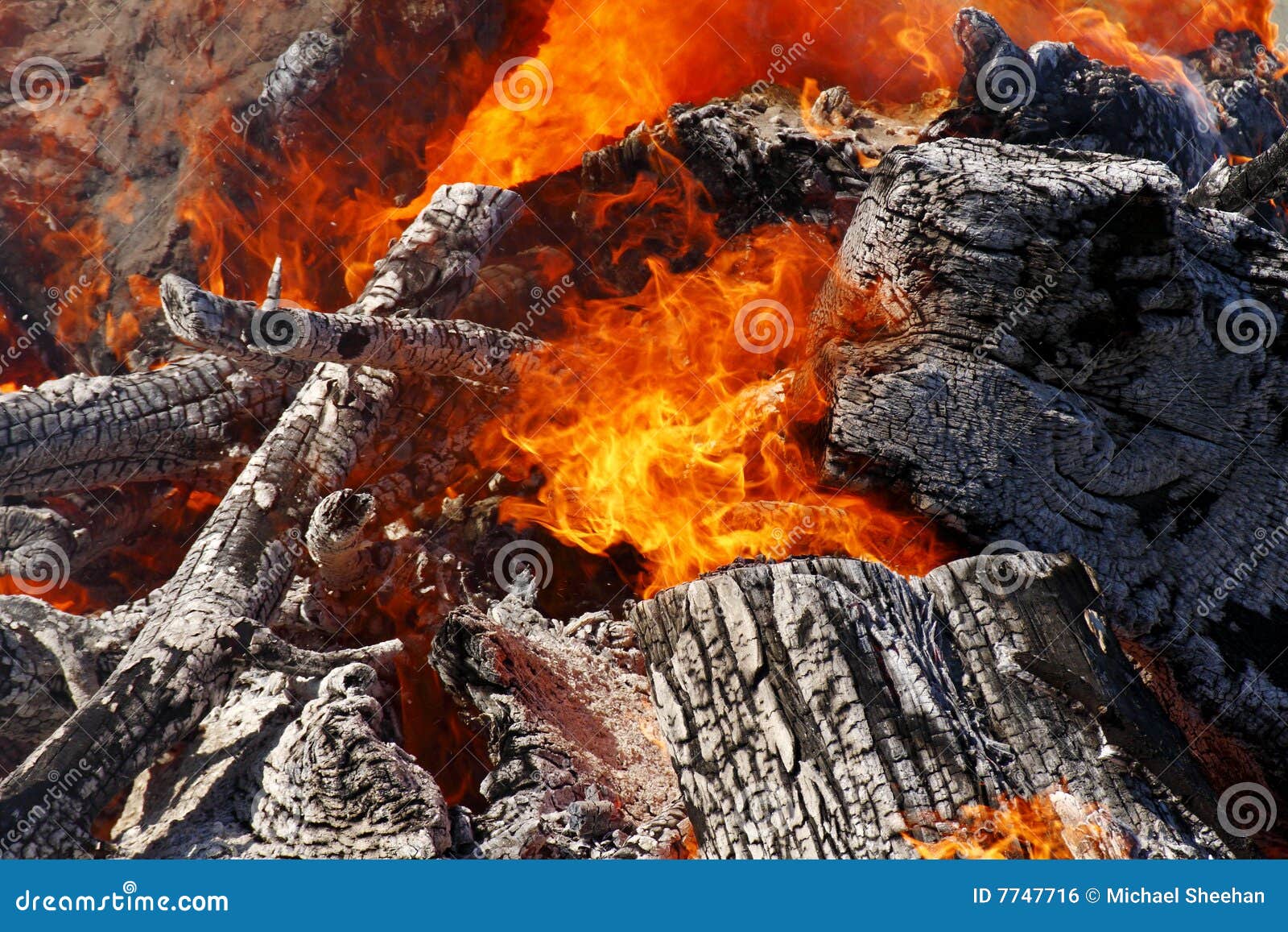 Heat stock photo. Image of fiery, grey, intense, flame 7747716