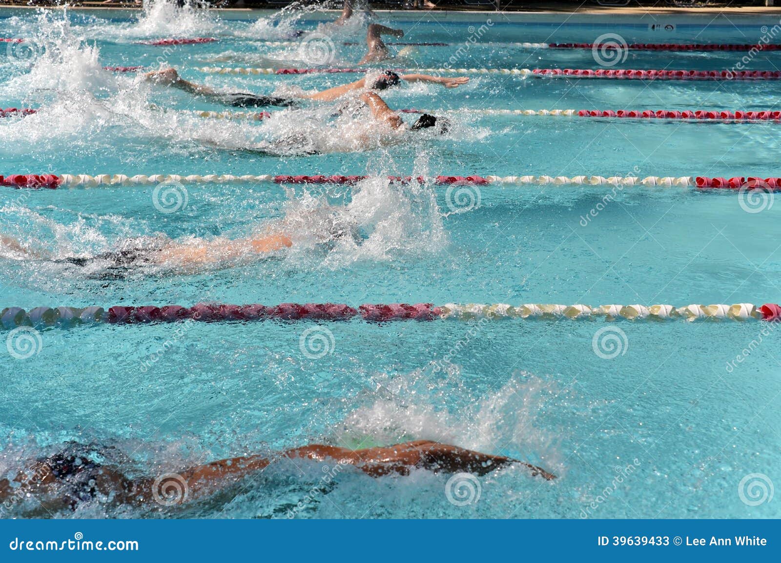 a heat of freestyle swimmers racing at a swim meet