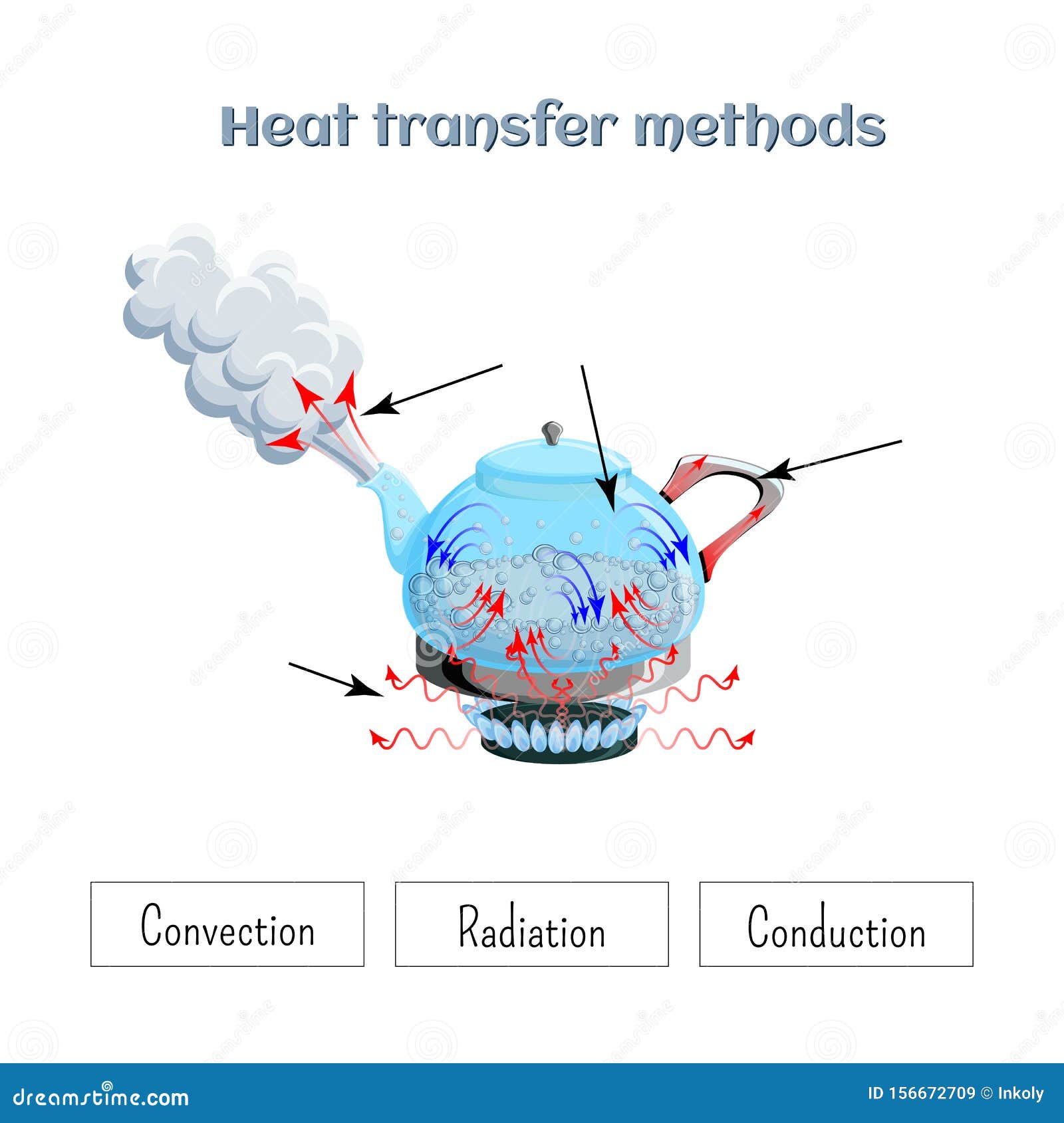 Heat Transfer Methods on Example of Water Boiling in a Kettler on Pertaining To Methods Of Heat Transfer Worksheet