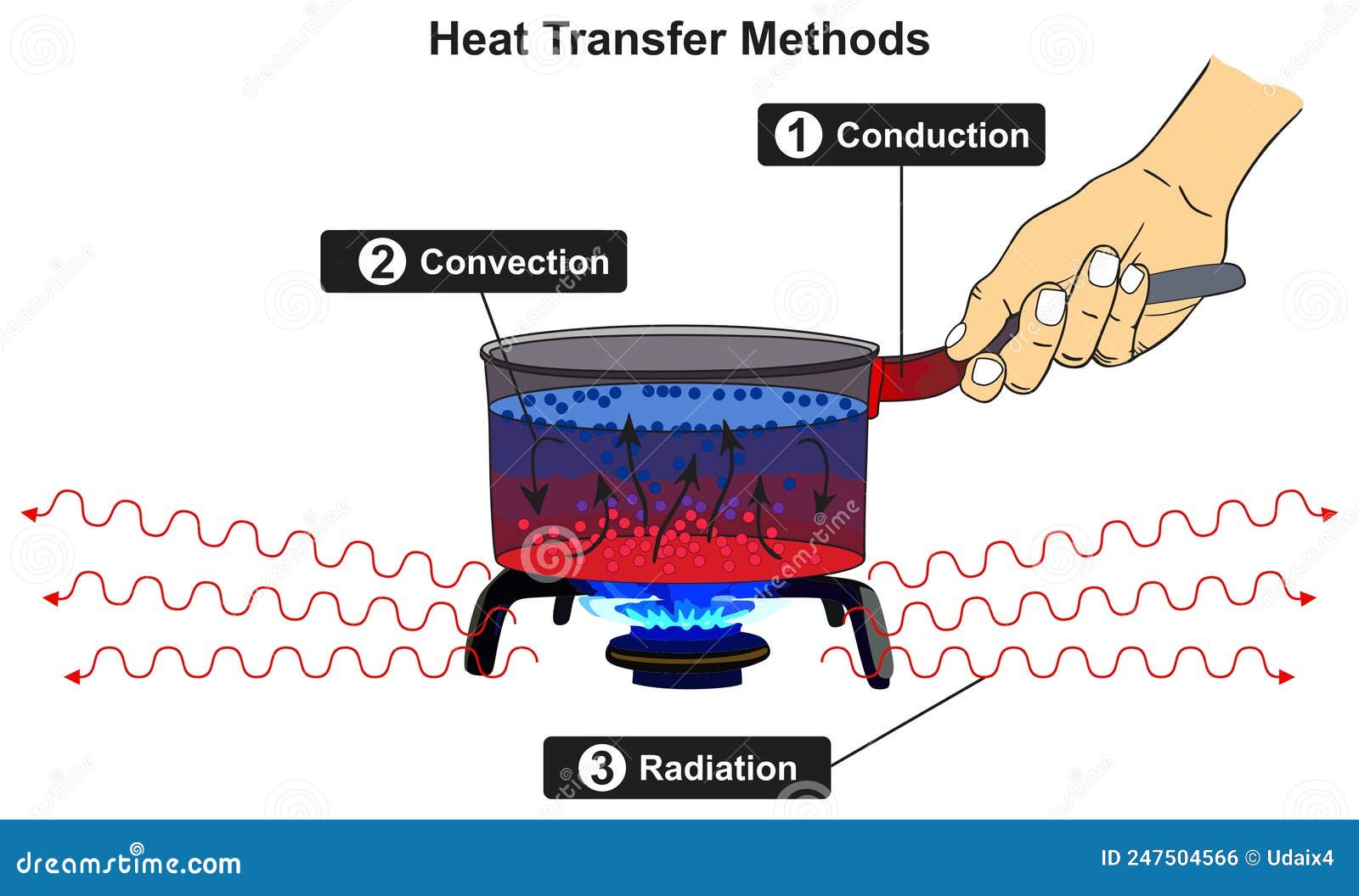 convection oven heat transfer