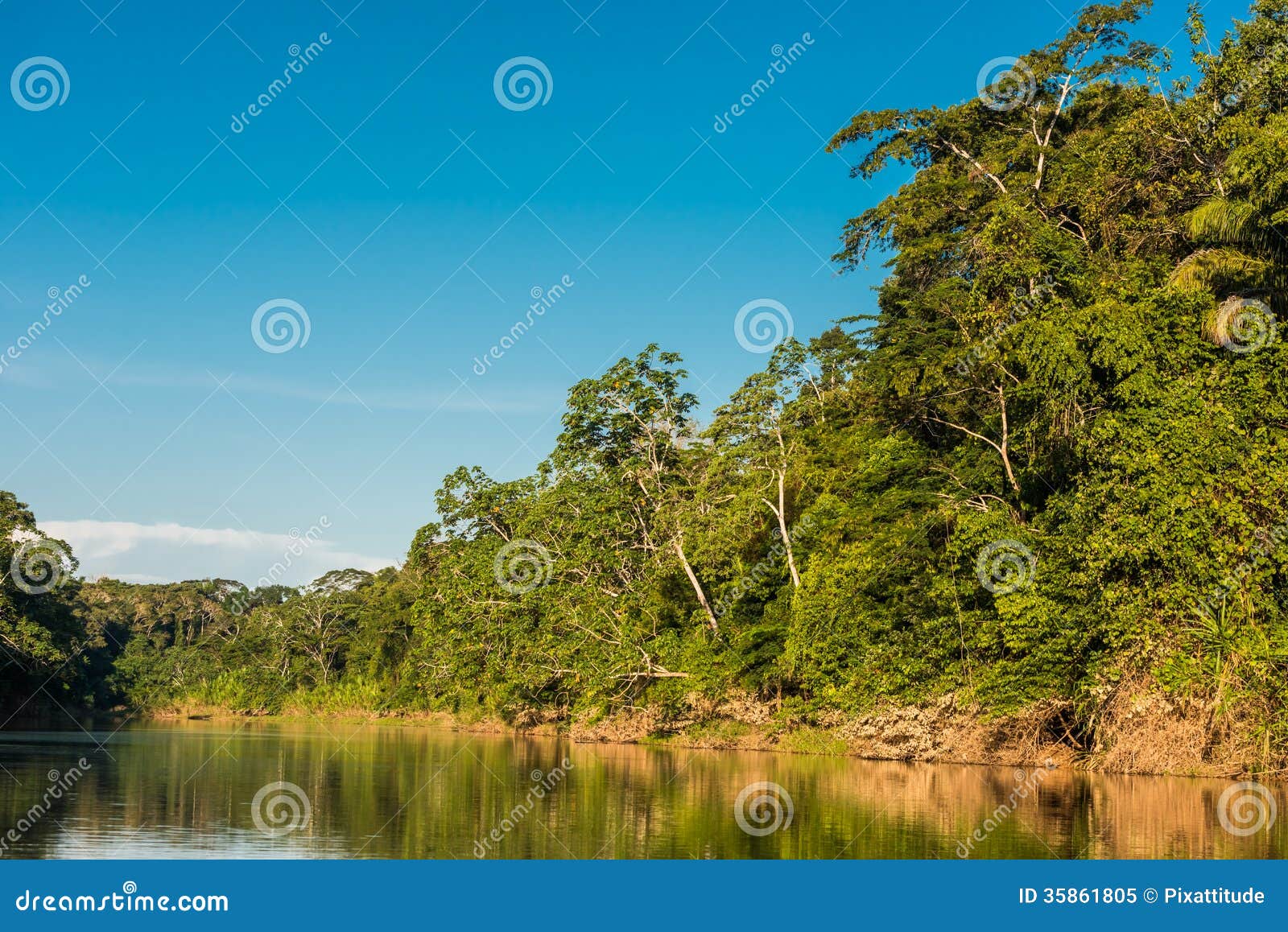 heath river peruvian amazon jungle madre de dios peru