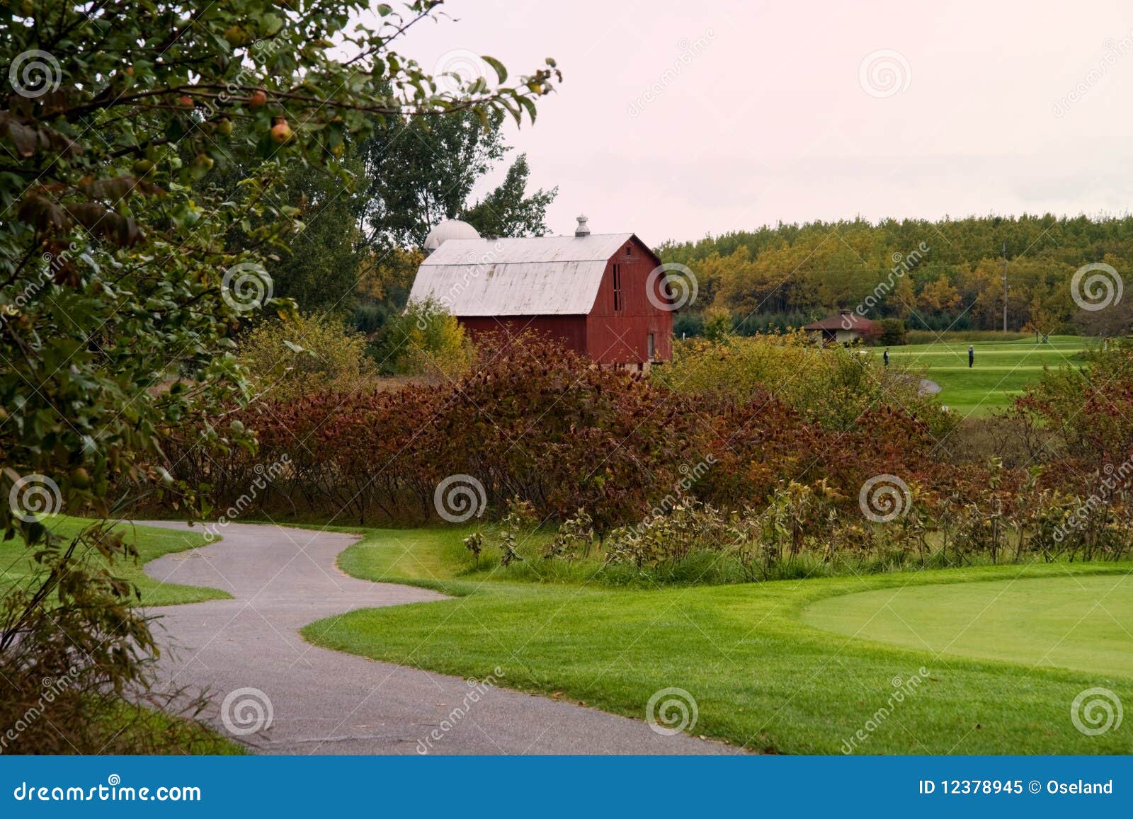 Heathlands Golf Course stock image. Image of golf, golfing 12378945