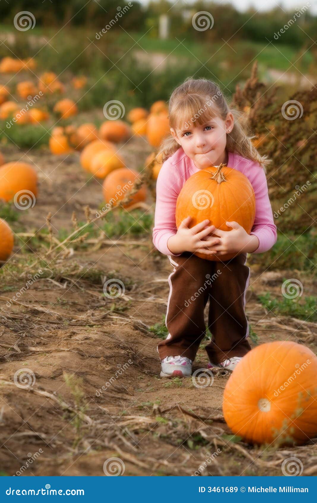 Heavy Load stock image. Image of little, cute, jack, halloween - 3461689