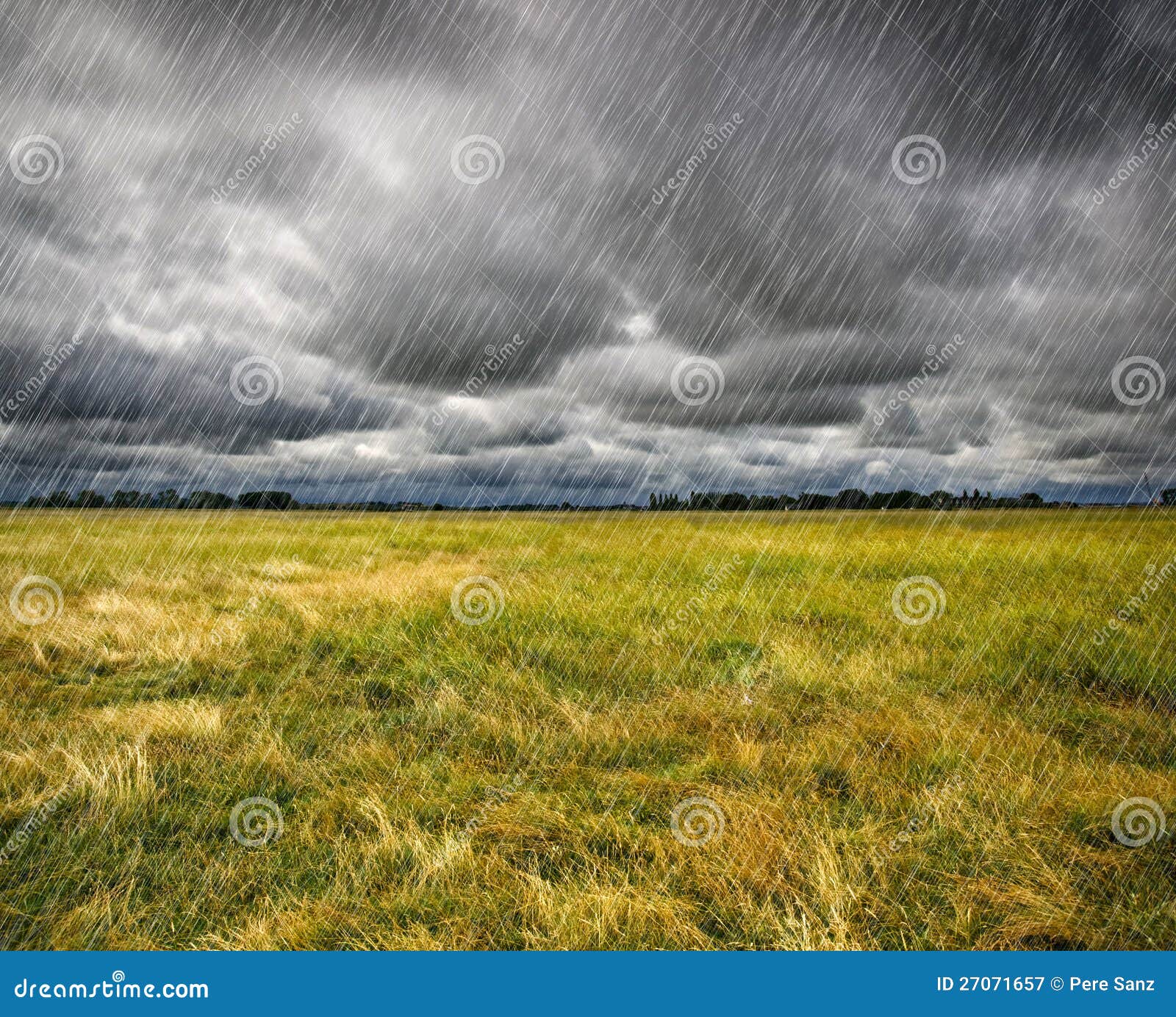 heavy rain over a prairie