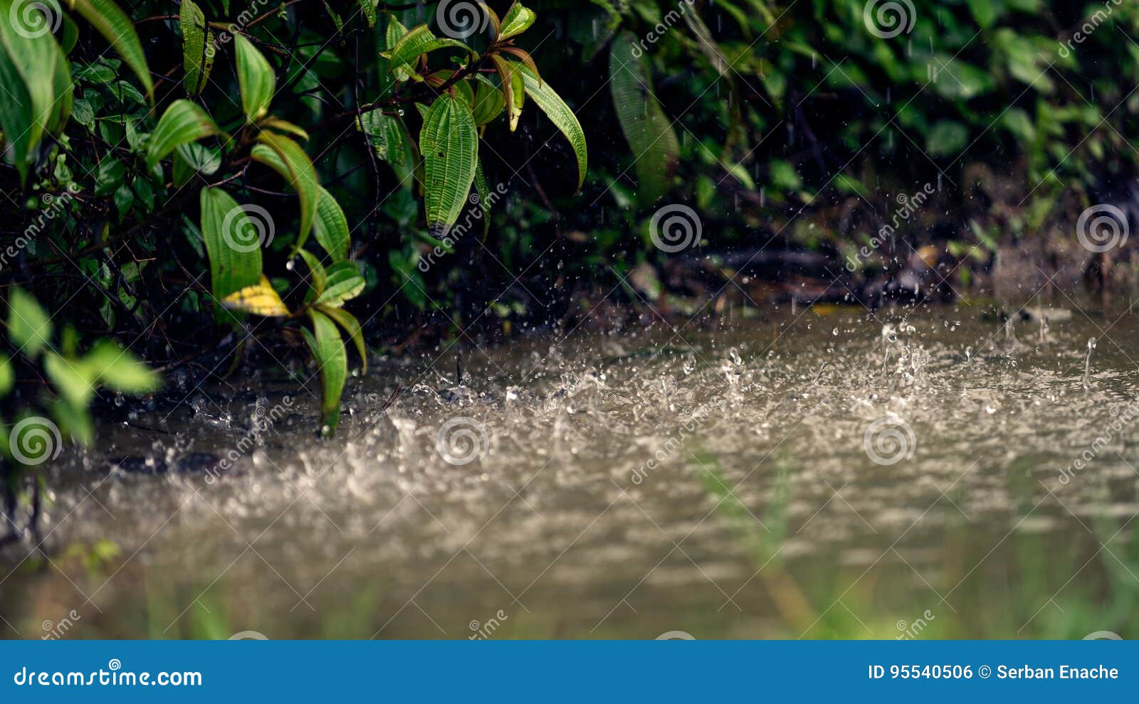 heavy rain in the sapa valley