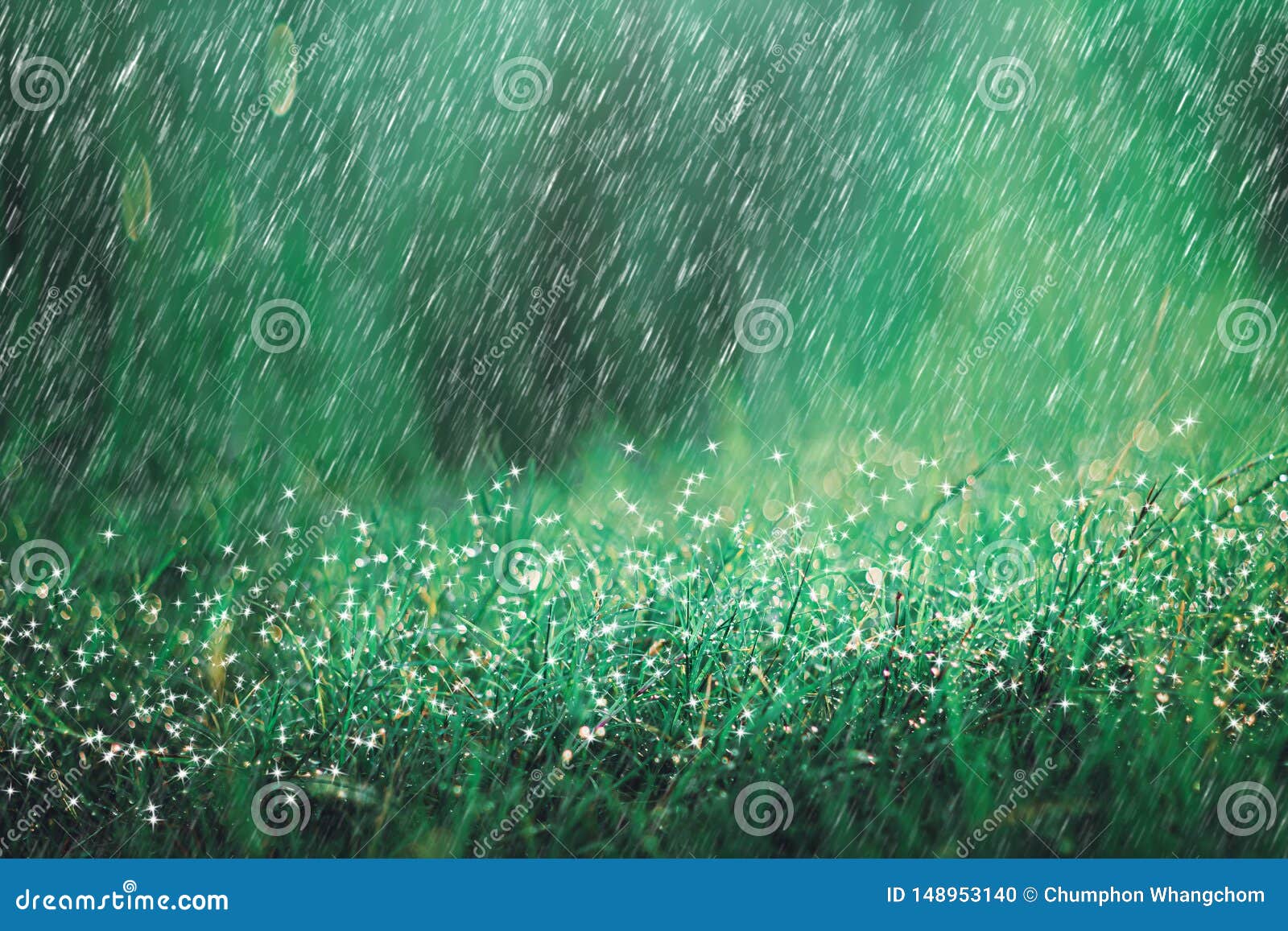 heavy rain shower on meadow background with sparkle and bokeh. raining in nature backdrop