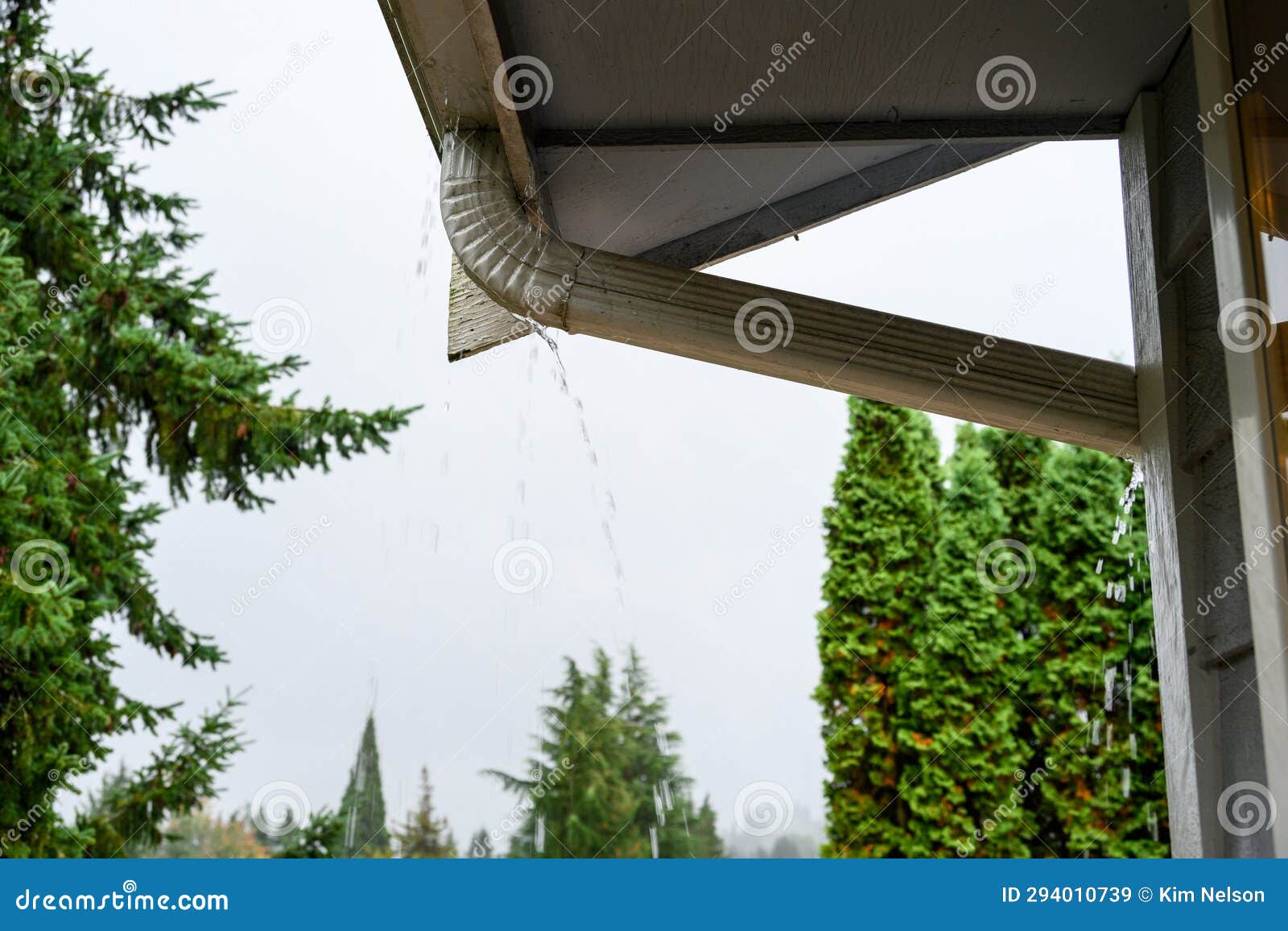 Heavy Rainfall Overflowing Roof Gutter and Not Going Down the Downspout