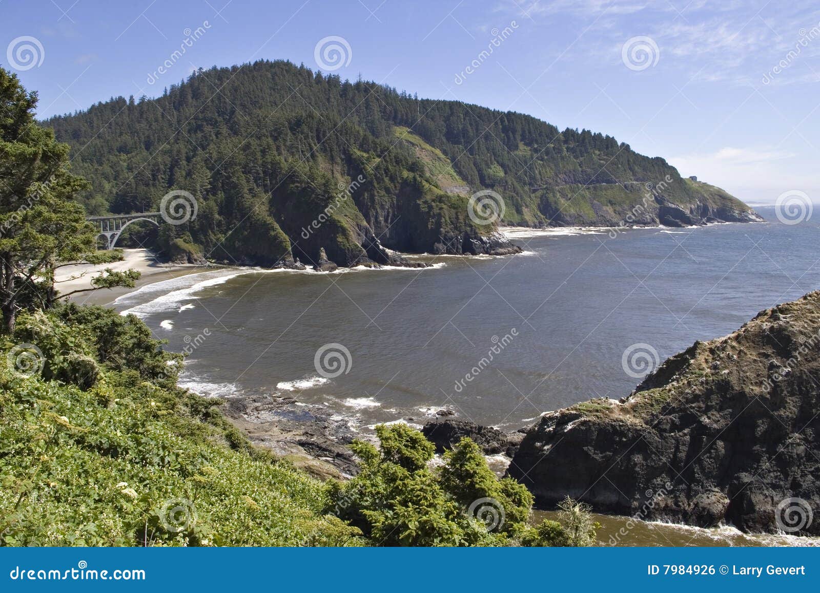 Heceta Beach Oregon stock photo. Image of breakers ...
