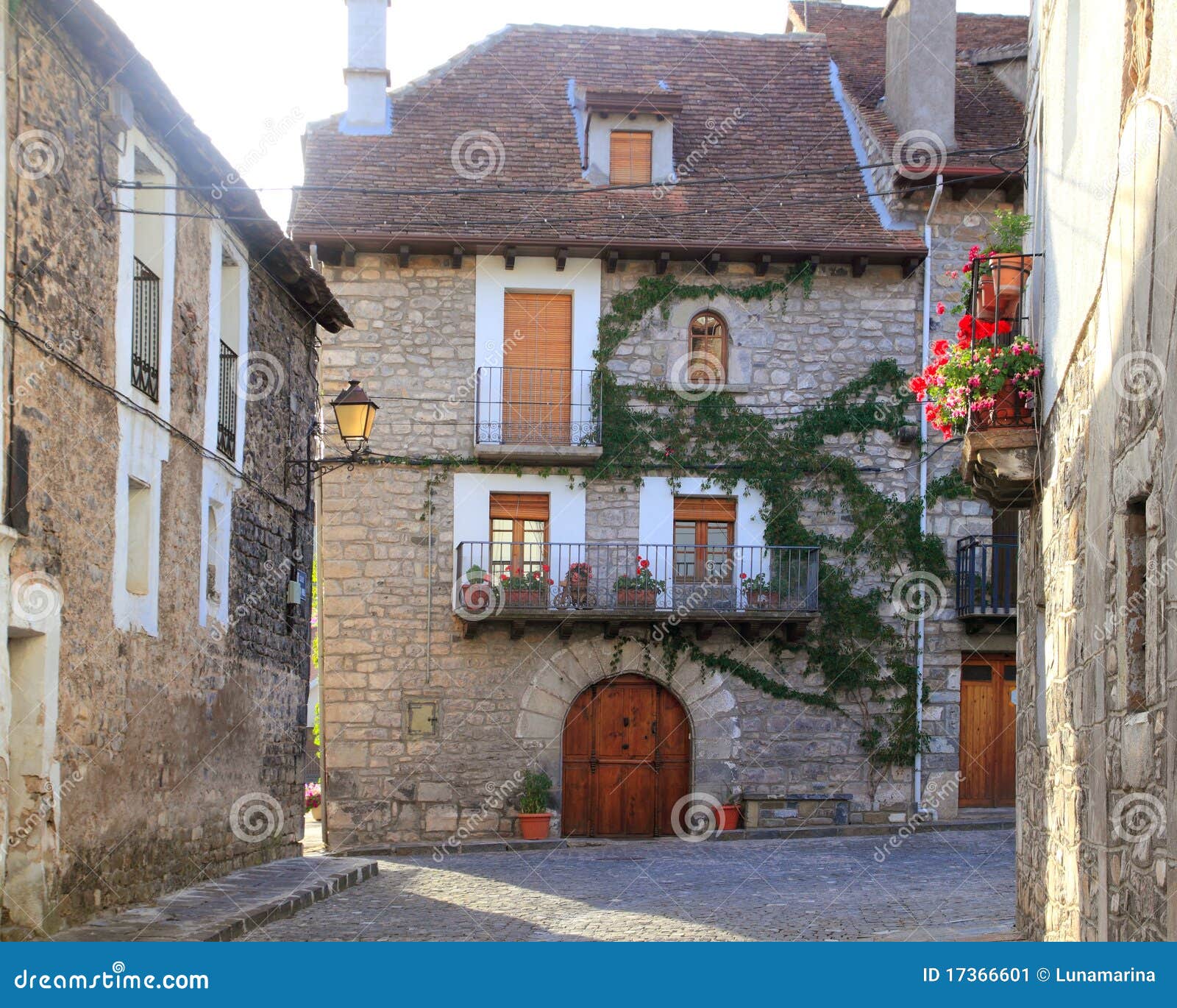 hecho valley village pyrenees houses