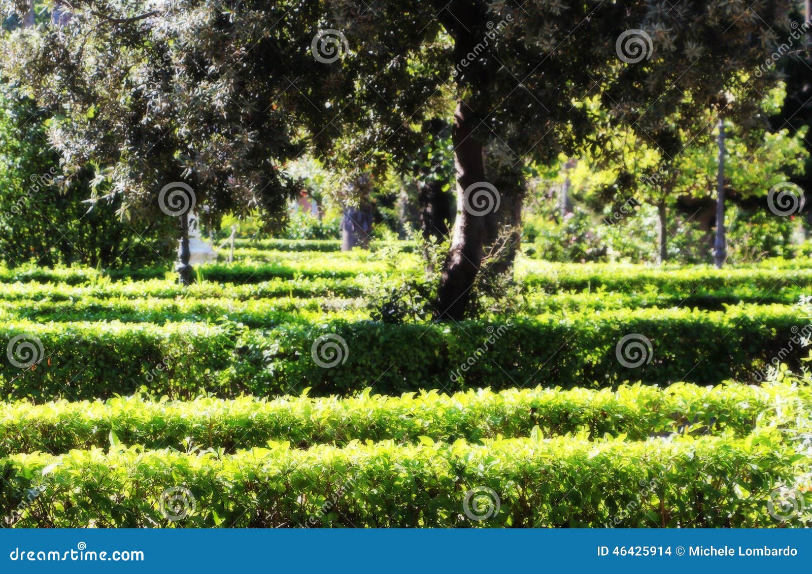 Hecken In Einem Garten, Hintergrund Stockfoto Bild von