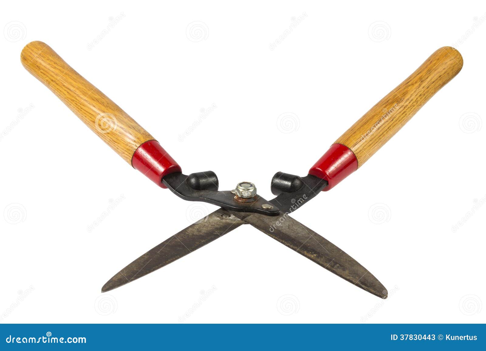 Hedge Clippers stock image. Image of growth, bush, outside 37830443