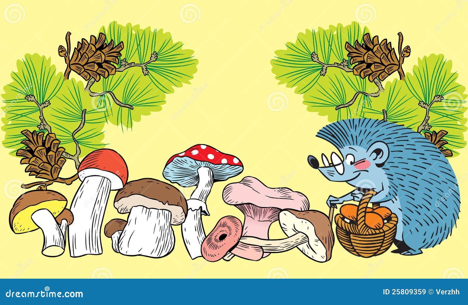 Ежик собирал грибы. Ежик с грибами. Ежик с корзинкой грибов. Еж собирает грибы. Ежик собирает грибы в корзинку.