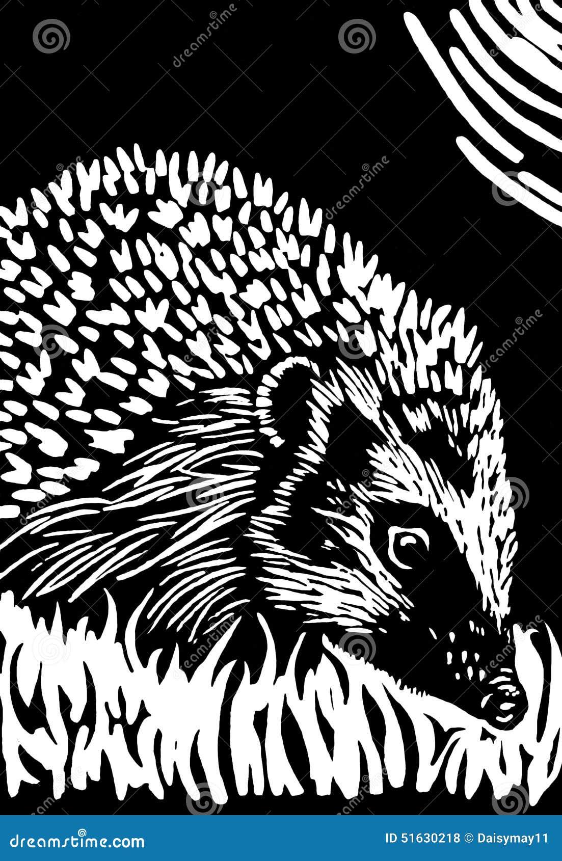 hedgehog illustration black and white