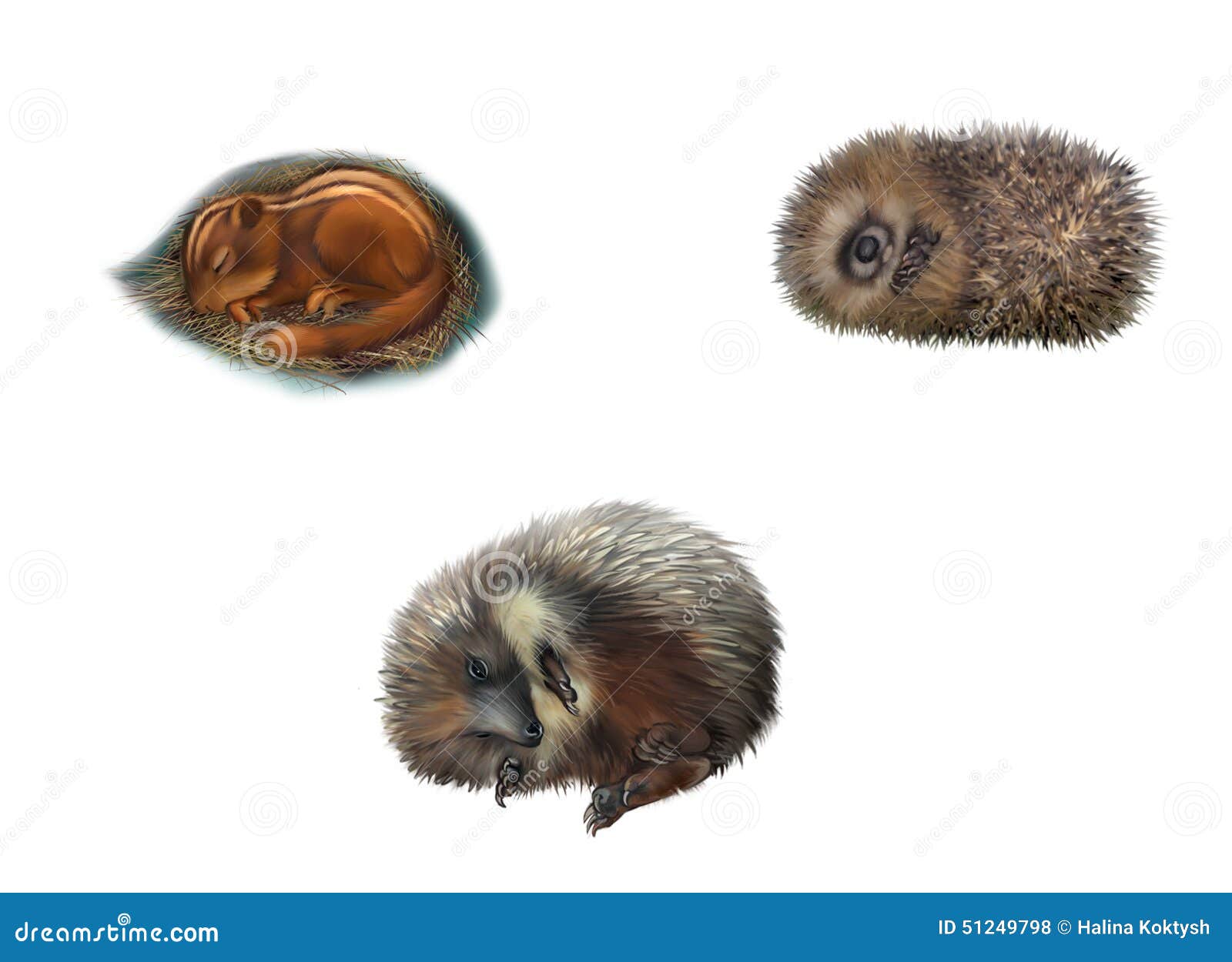 Featured image of post Chipmunk Sleeping Clipart Black And White Chipmunk forest wildlife vector animals rounde frame